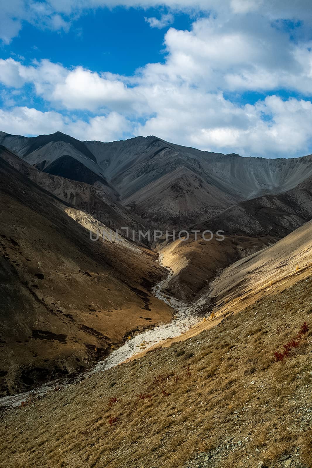 The altai mountains. landscape of nature on the Altai mountains and in the gorges between the mountains. by DePo