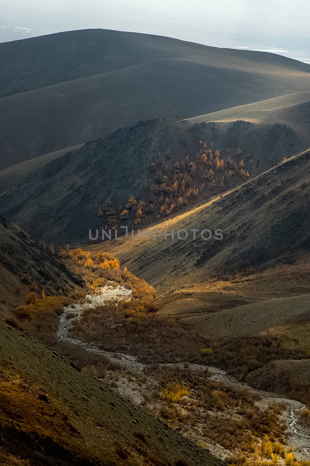 The altai mountains. The landscape of nature on the Altai mountains and in the gorges between the mountains.