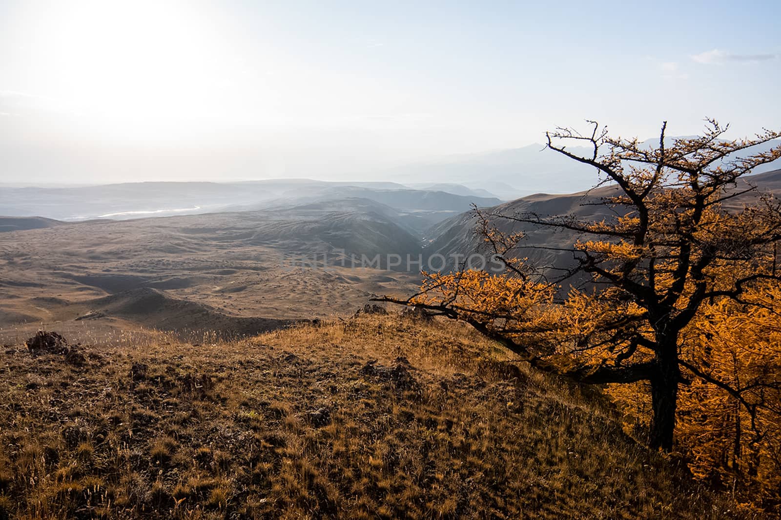 The altai mountains. The landscape of nature on the Altai mountains and in the gorges between the mountains.