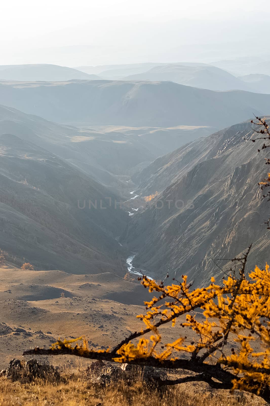 The altai mountains. The landscape of nature on the Altai mountains and in the gorges between the mountains.