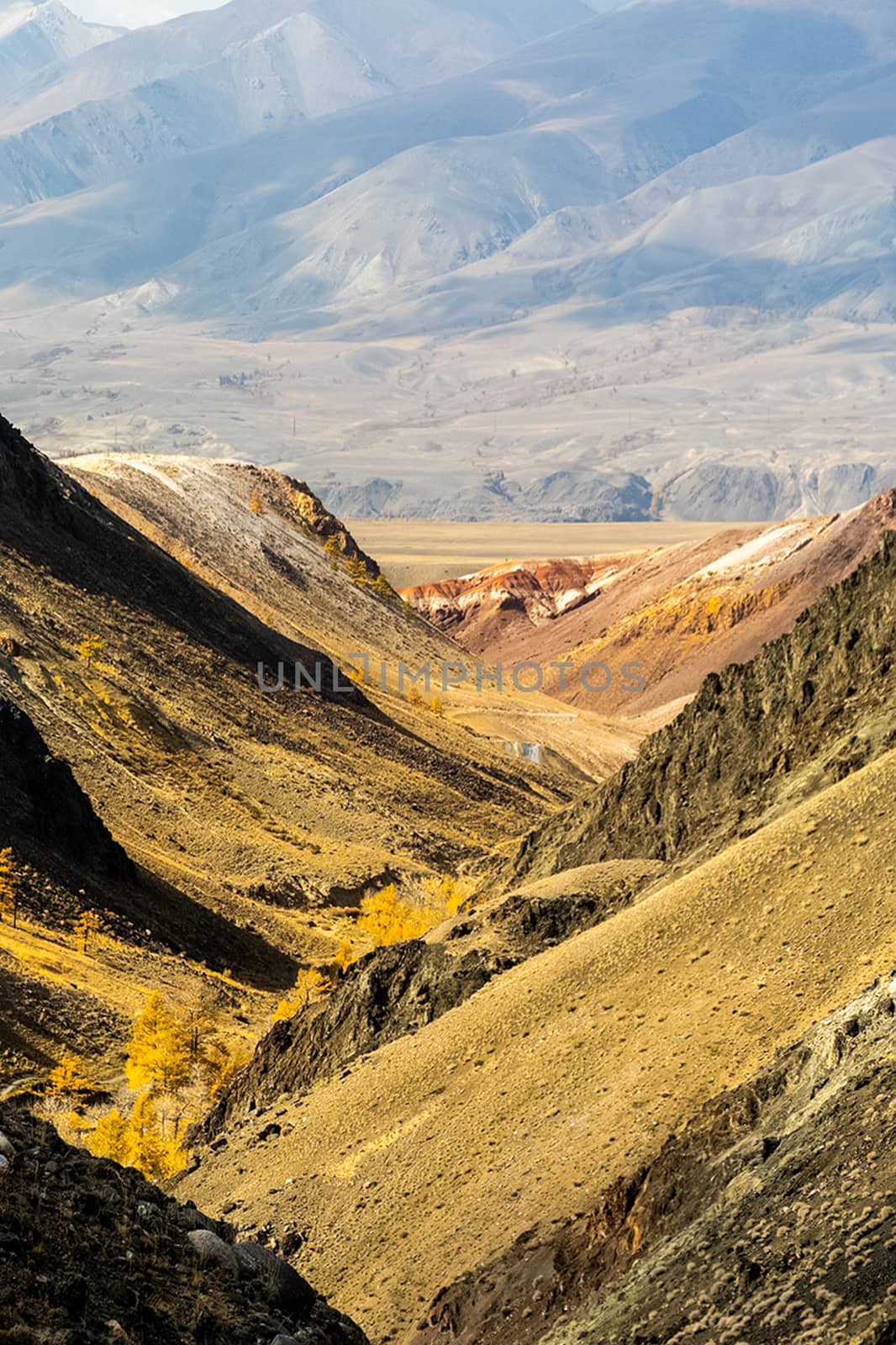 The altai mountains. landscape of nature on the Altai mountains and in the gorges between the mountains. by DePo