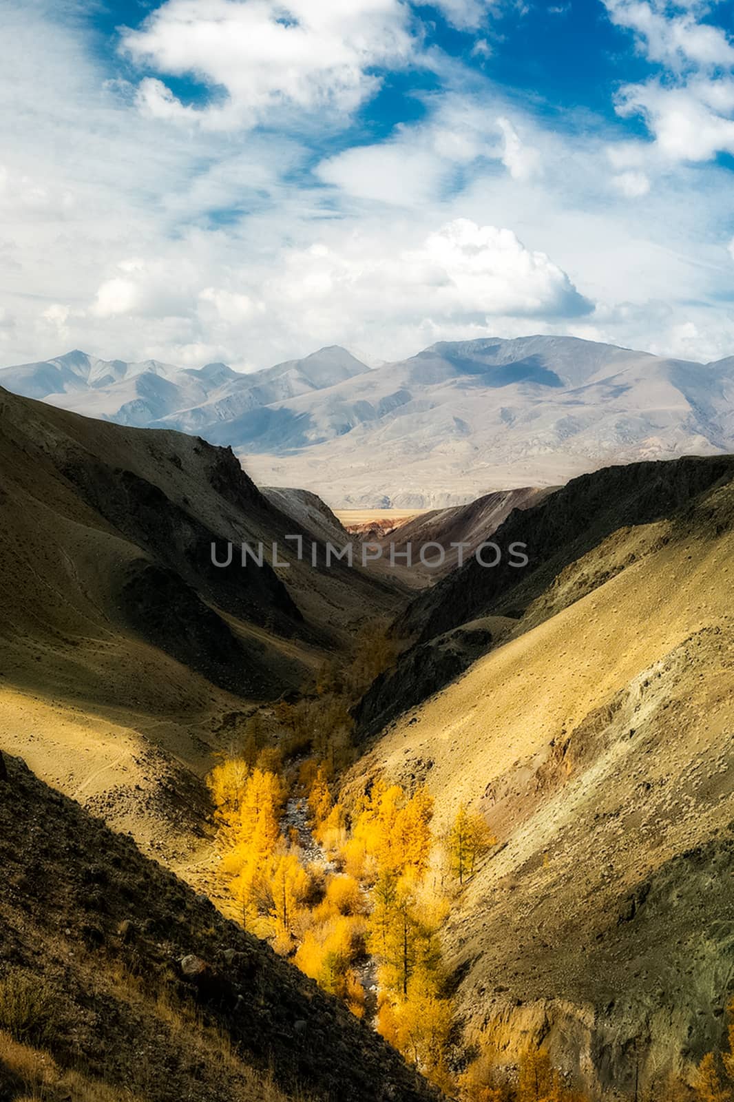 The altai mountains. The landscape of nature on the Altai mountains and in the gorges between the mountains.