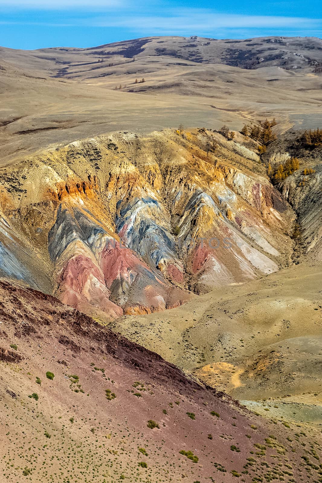 The altai mountains. landscape of nature on the Altai mountains and in the gorges between the mountains. by DePo