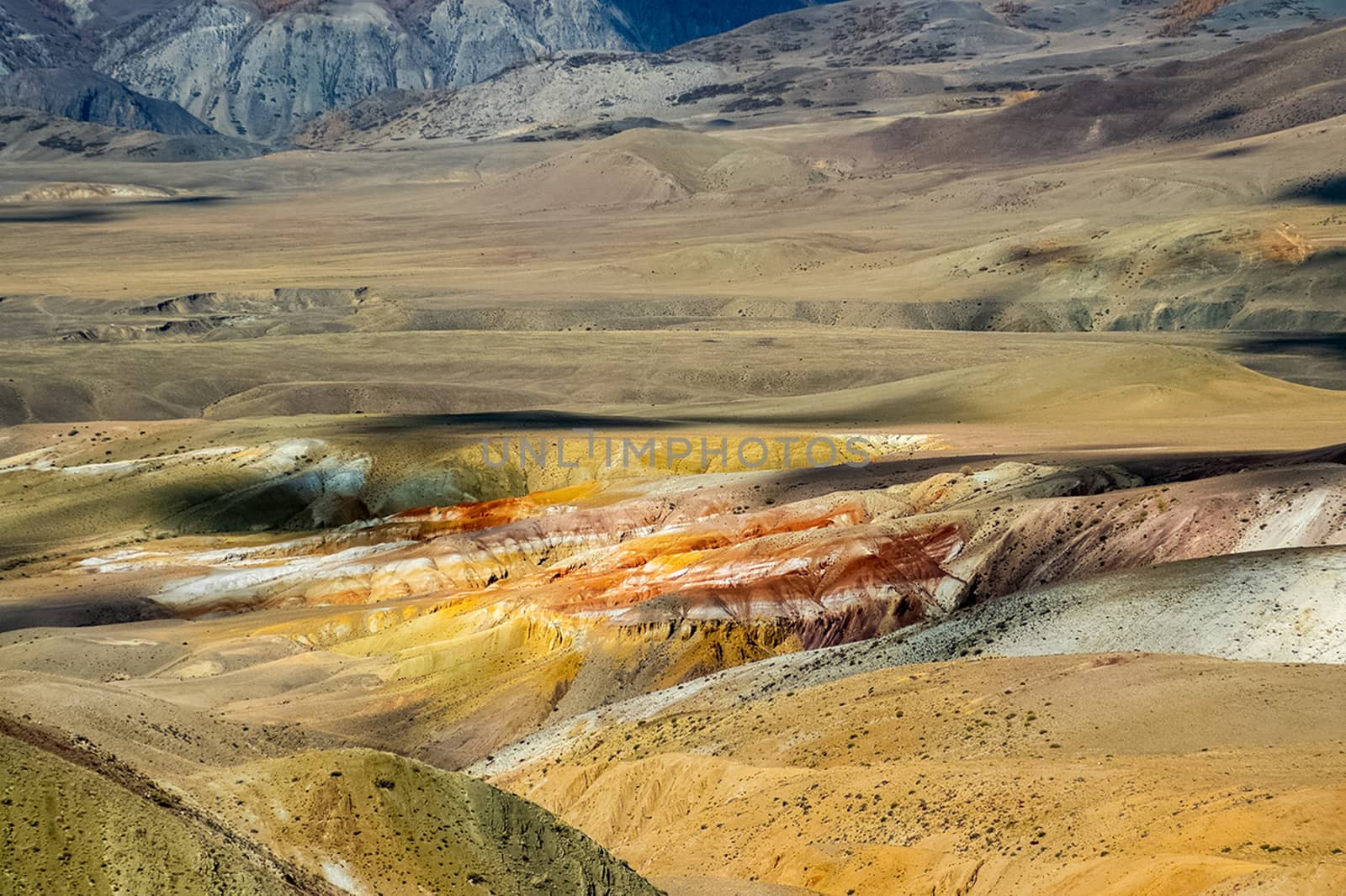 The altai mountains. landscape of nature on the Altai mountains and in the gorges between the mountains. by DePo