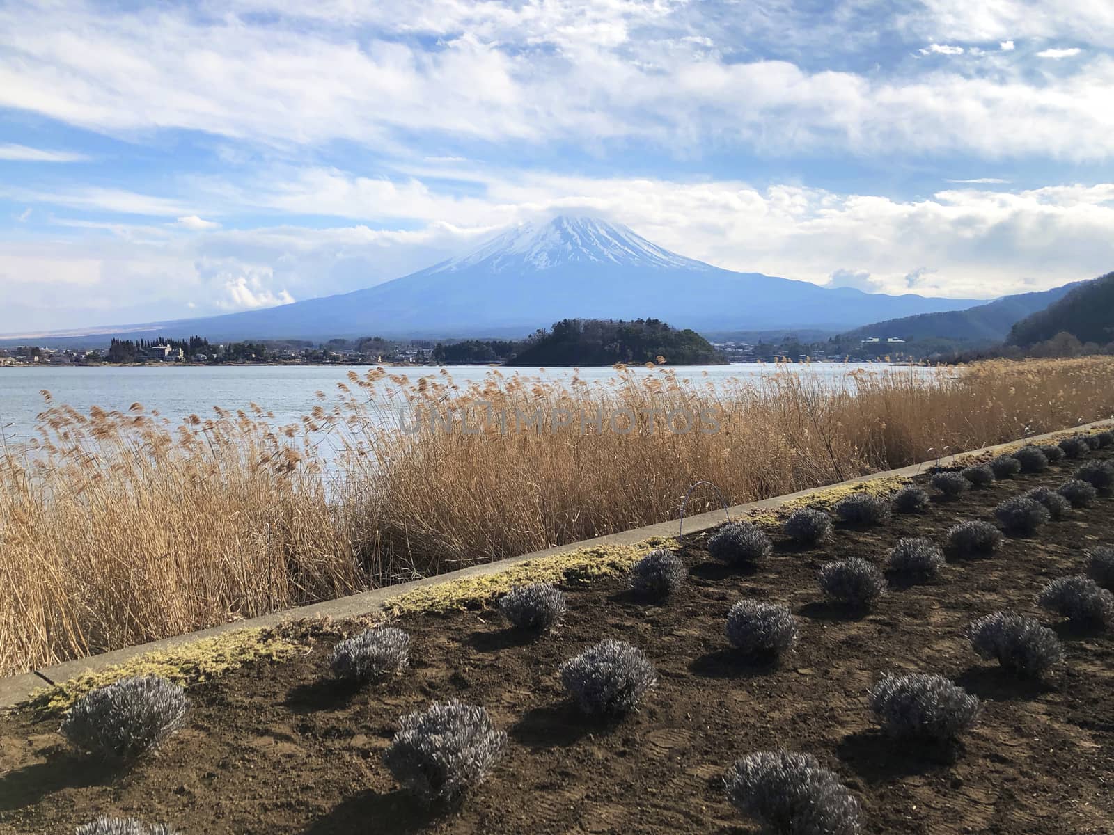 Beautiful view of  Mountain Fuji and Lake Kawaguchiko in Japan by Surasak