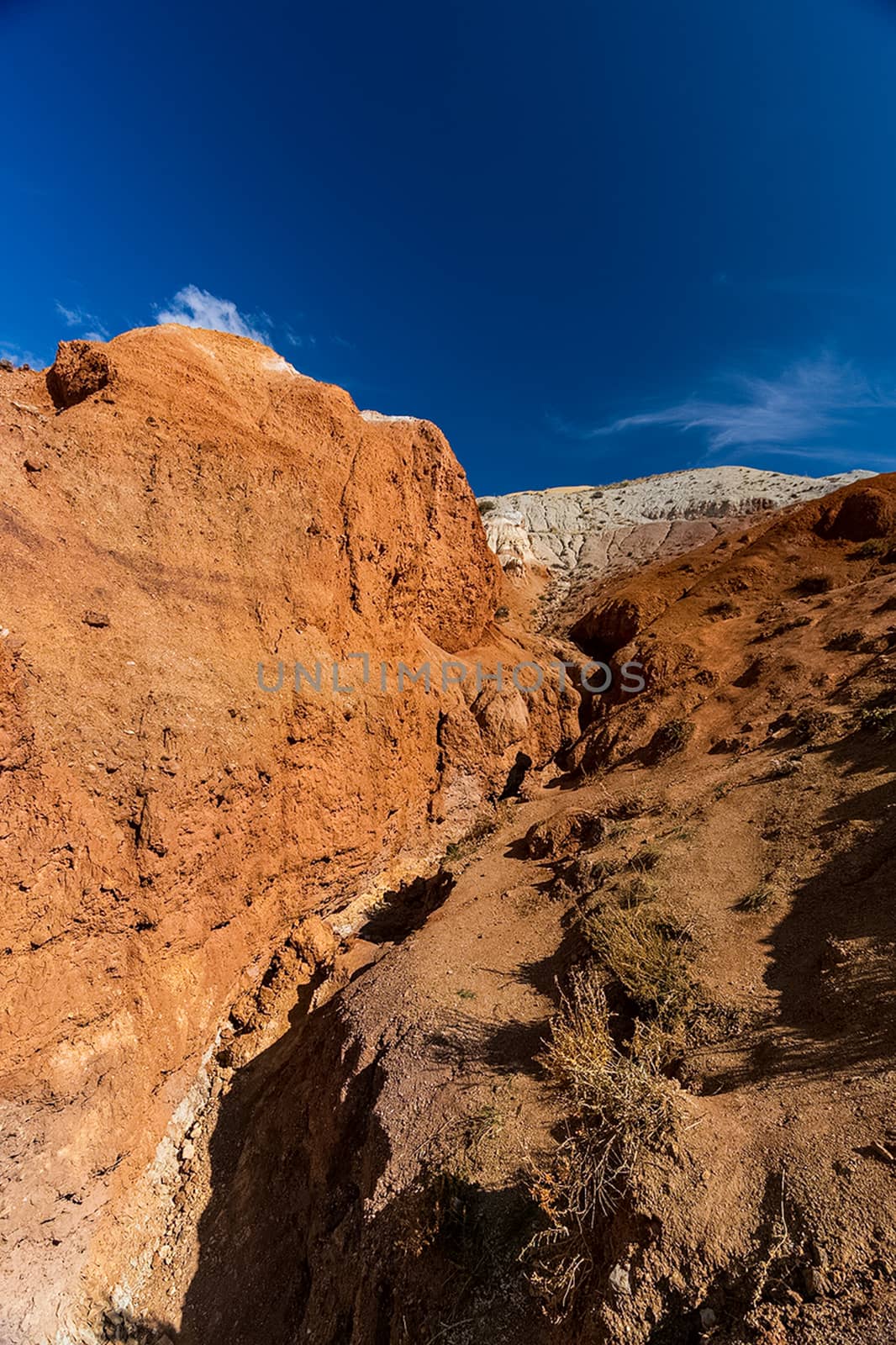 The altai mountains. The landscape of nature on the Altai mountains and in the gorges between the mountains.