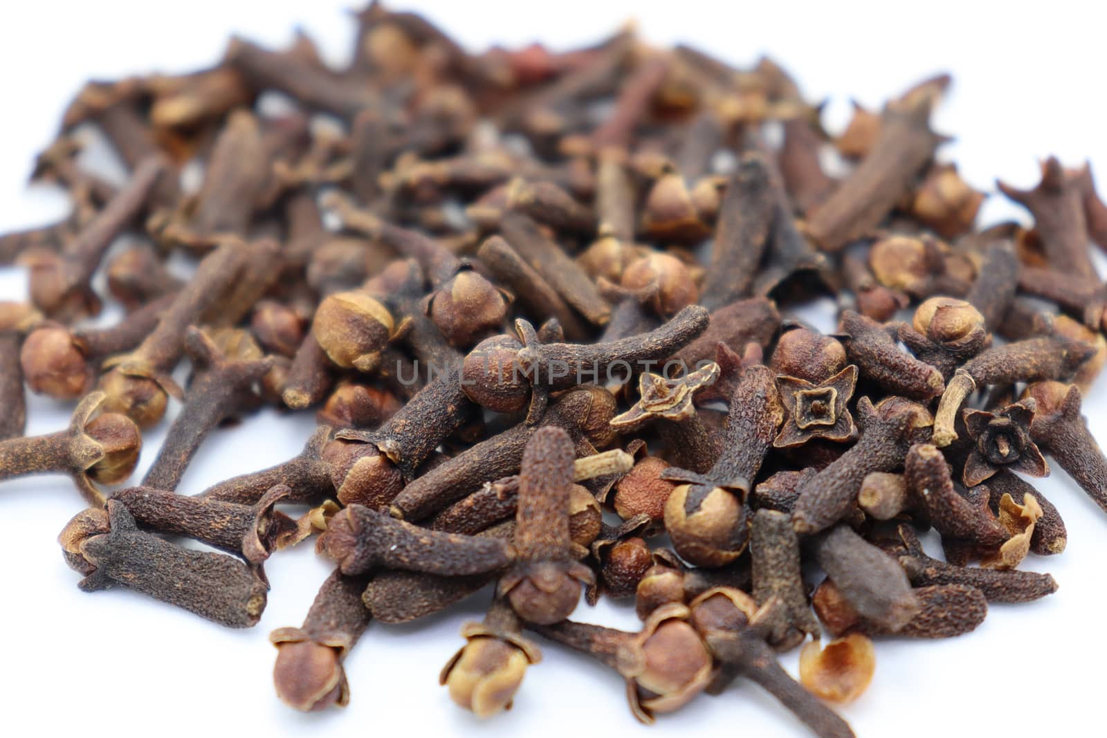 Healthy and Spicy Clove Stock on White Background