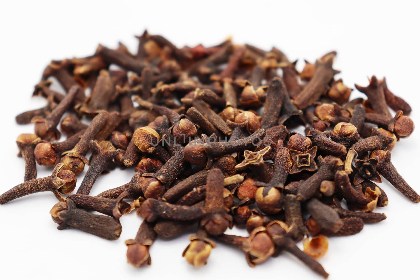 Healthy and Spicy Clove Stock on White Background