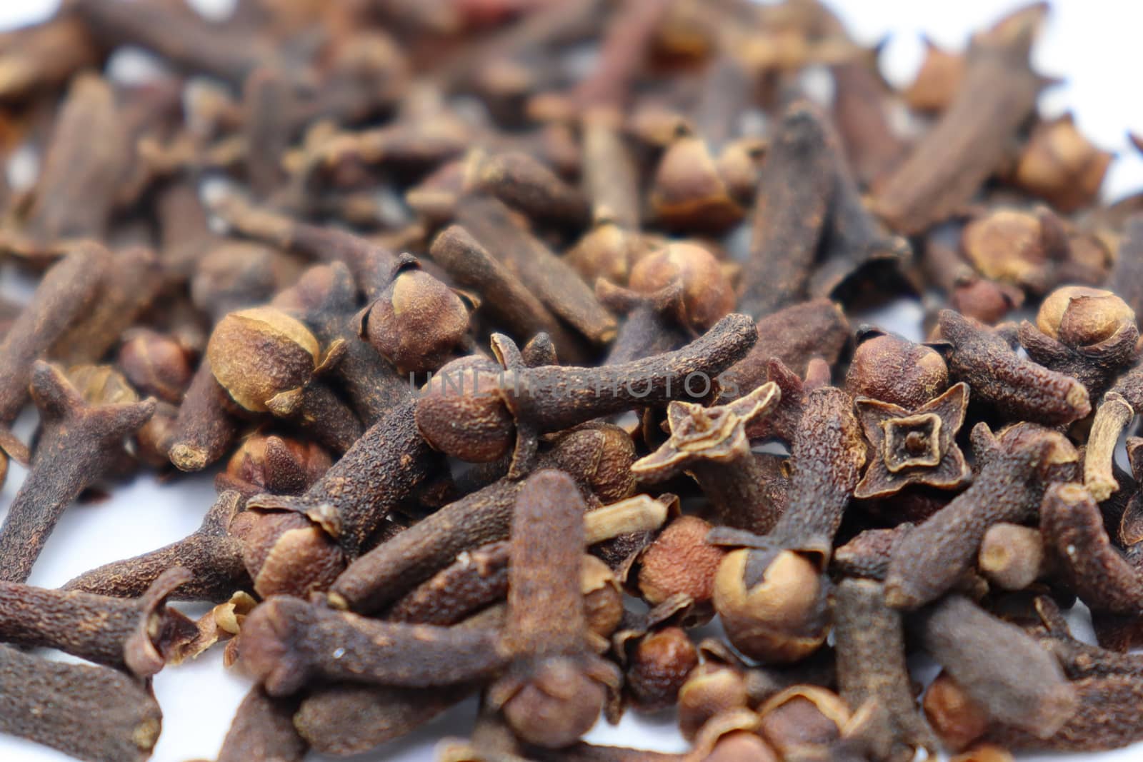 Healthy and Spicy Clove Stock on White Background