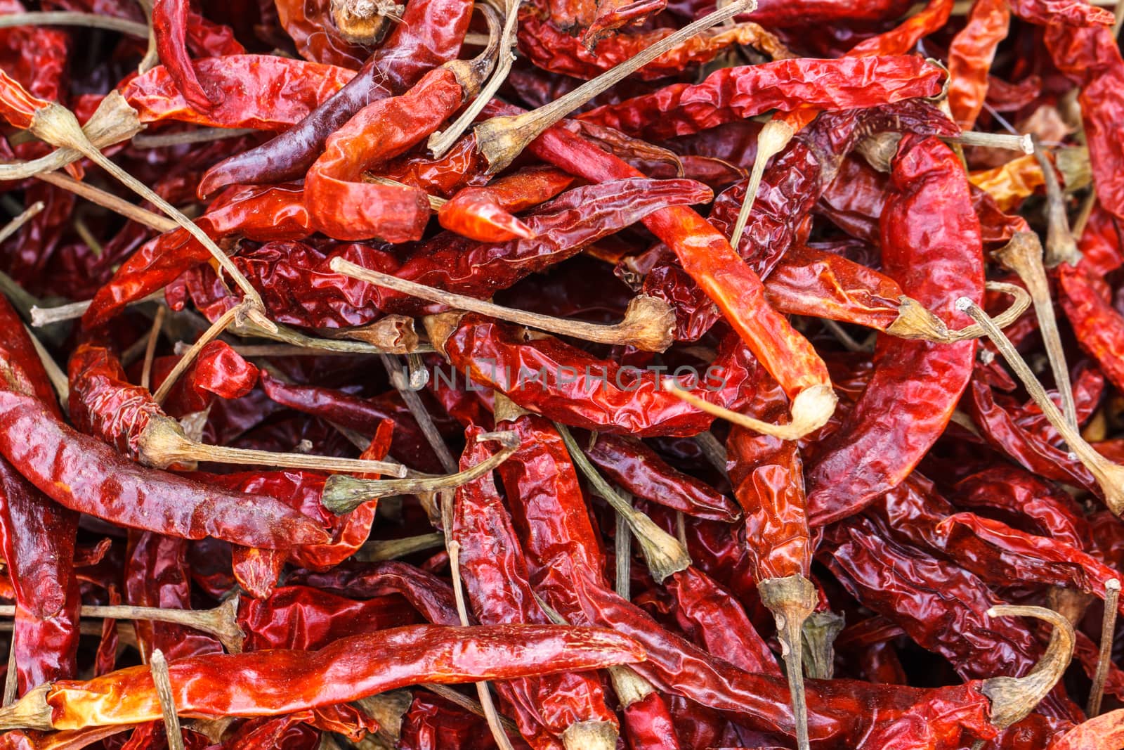 dried red chili  by Praphan