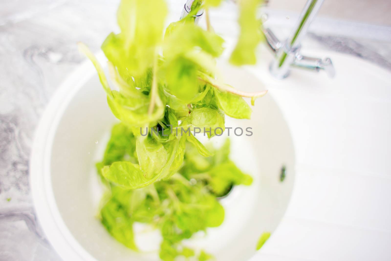 The process of washing green salad in the home kitchen in the sink. Summer vitamins, dietary and vegetarian food