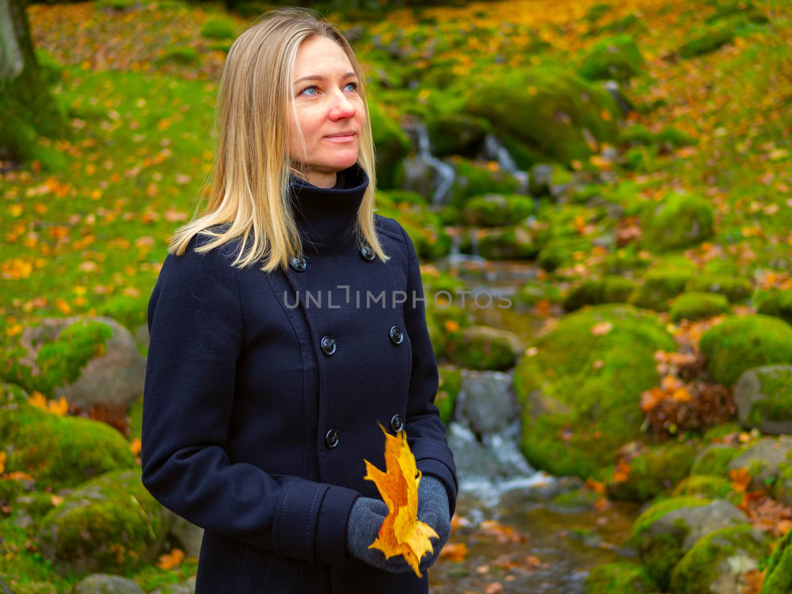 Young woman picks up fallen colorful autumn leaves. Girl collect yellow leaf. woman walking in the autumn Park