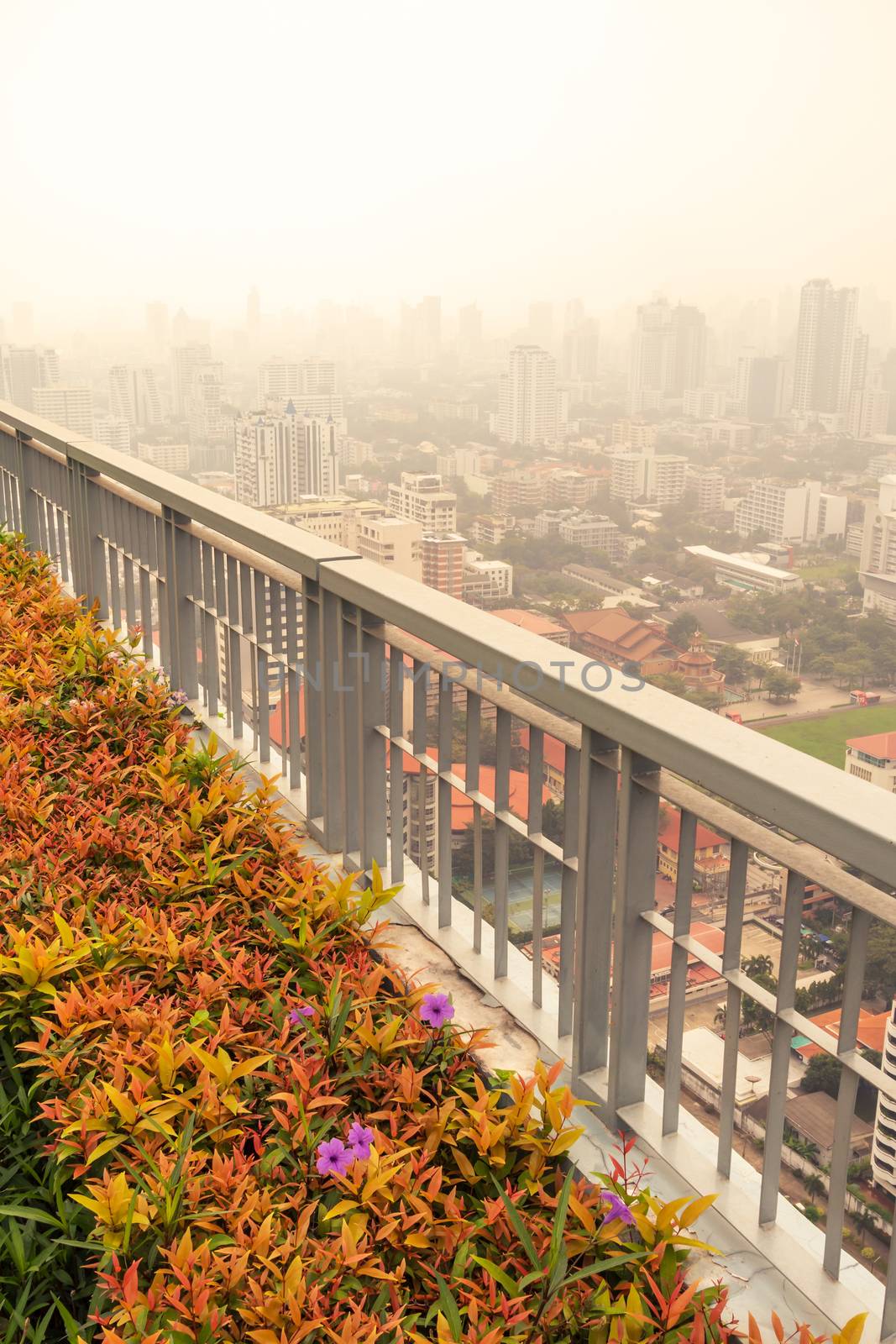 bush and fence in garden on rooftop of high-rise building in poor weather by happycreator