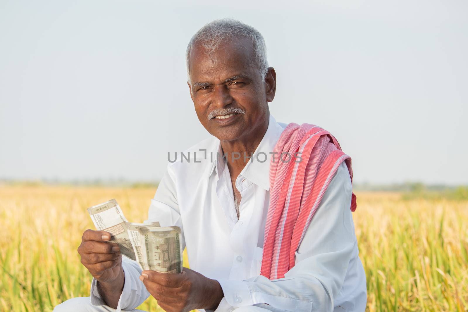 Happy smiling Indian farmer couting money on agriculture field while looking camera - concept of good or bumper crop harvest, farm subsidy and credit.