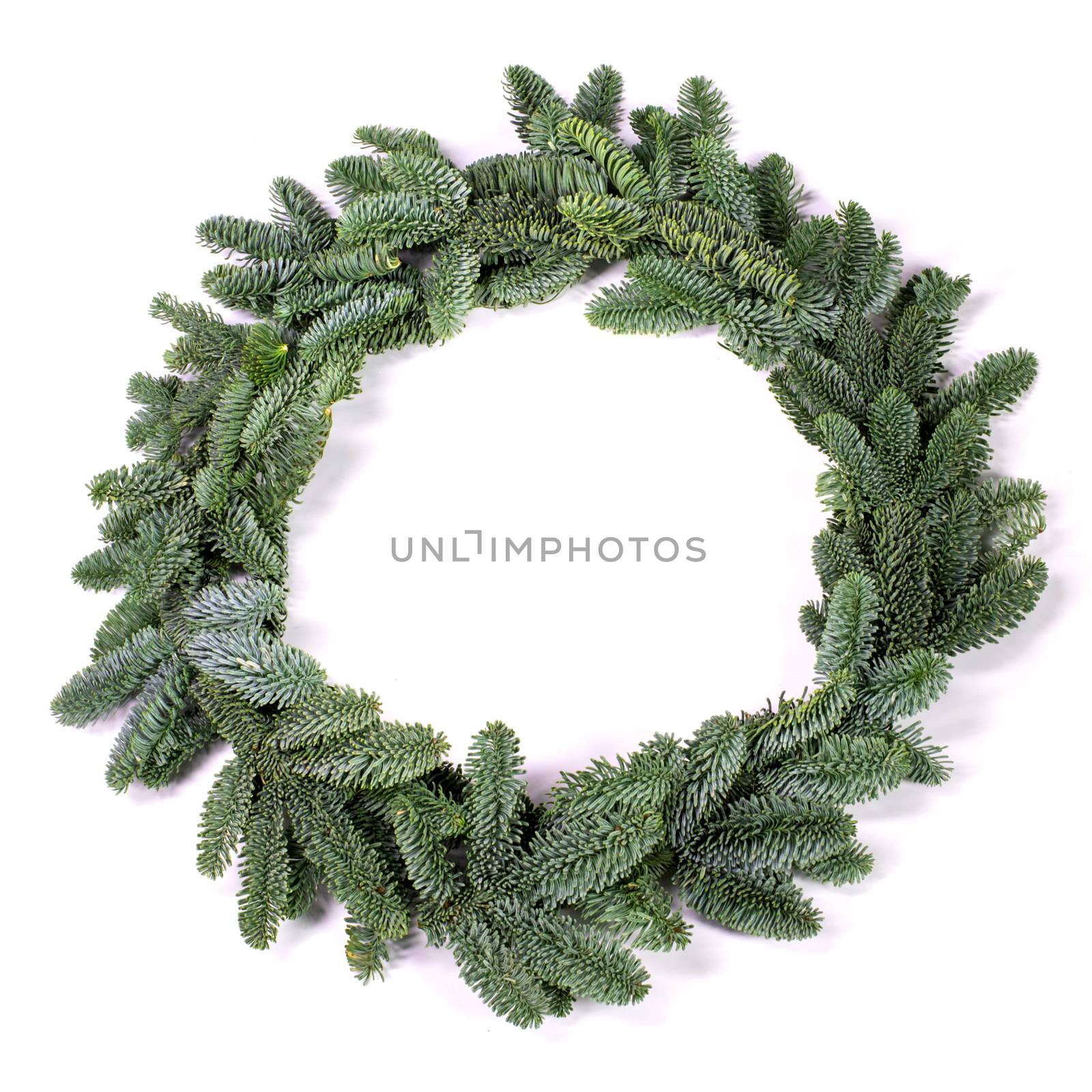 Christmas green framework empty fir tree wreath isolated on white background