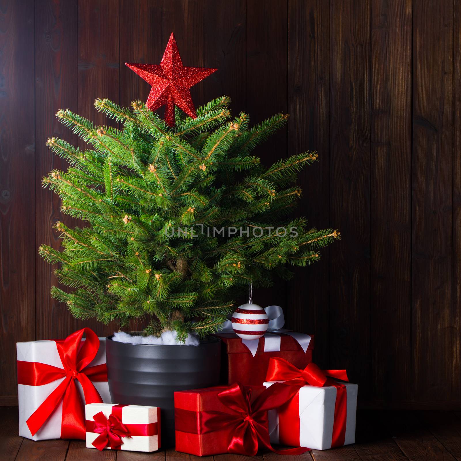 Merry christmas card with small christmas tree with star and gifts