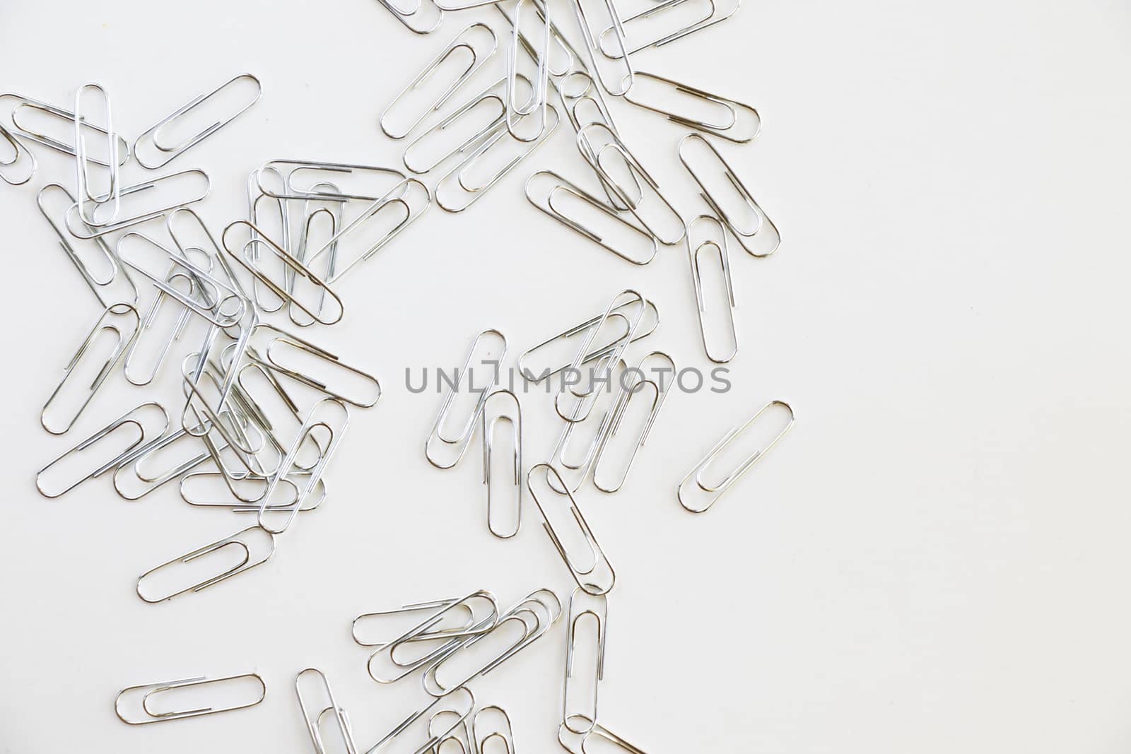 Paper clip on the white background by Taidundua