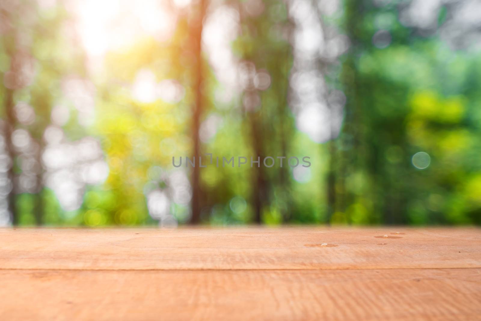 Selective focus of empty old wood on blur nature green leaf with bokeh abstract background.