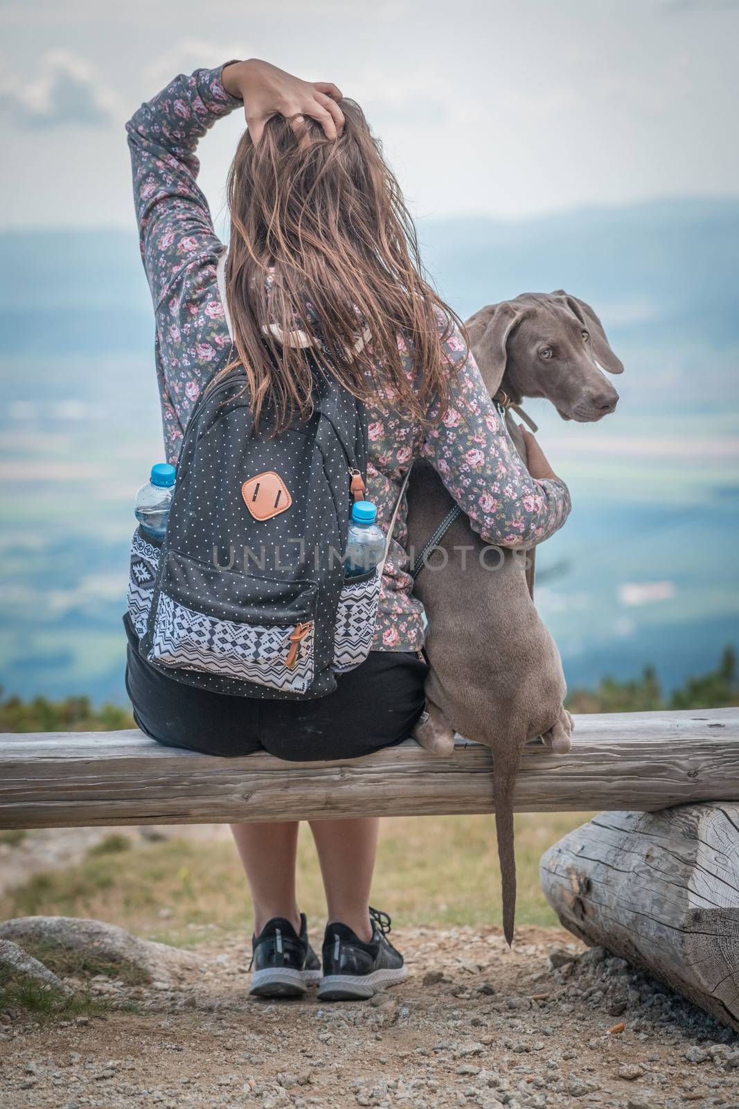 Girl with her dog enjoy the view from a bench on a river bank