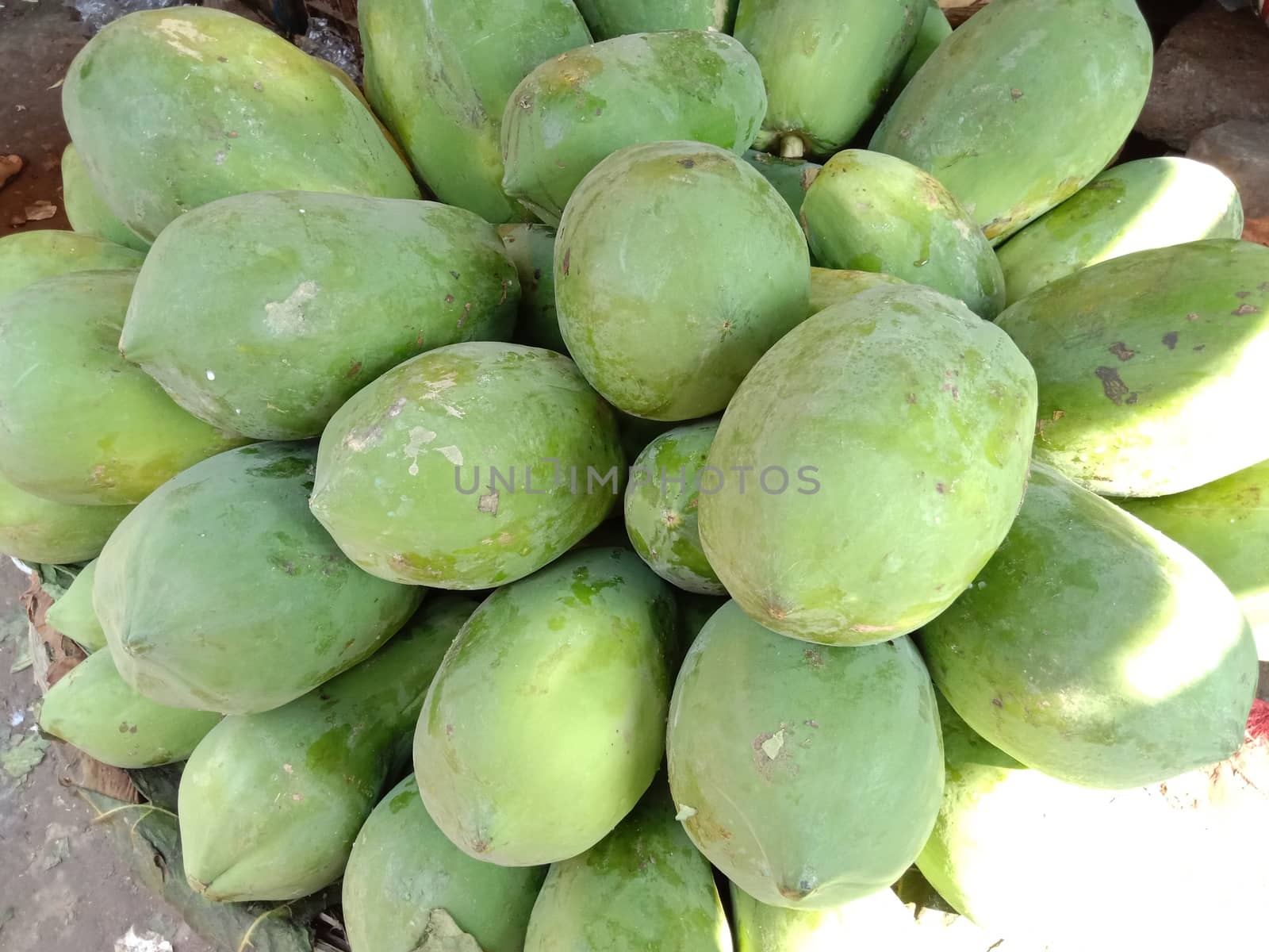 green colored raw papaya stock on shop