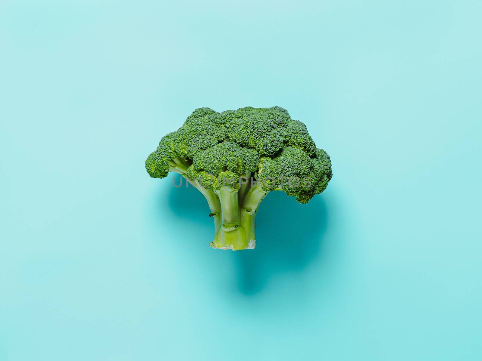 Broccoli on blue background. Fresh tasty green broccoli with copy space, top view or flat lay.