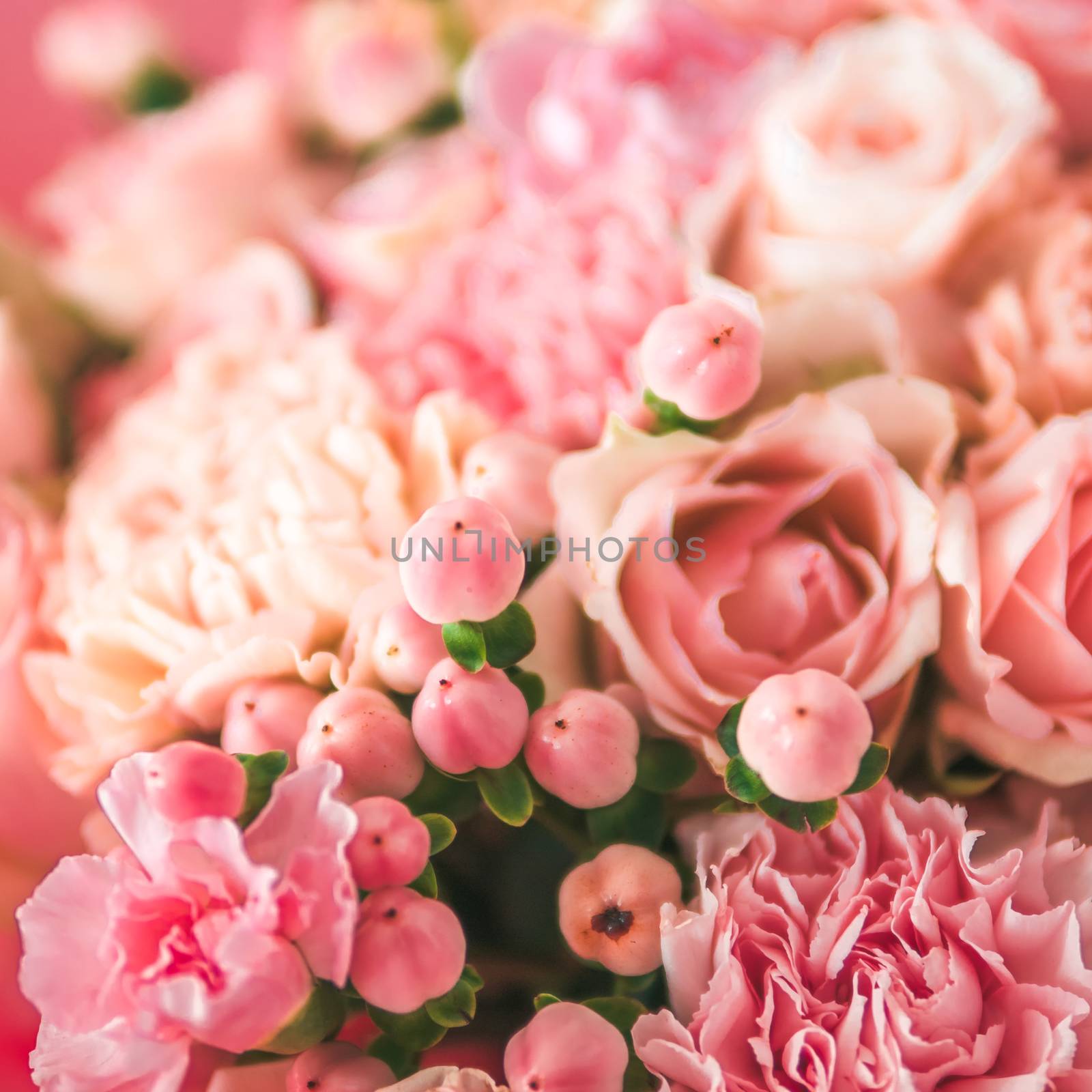 Extreme close up view of nice subtle delicate pink bouquet with roses, dianthus, hypericum, clove. Shallow DOF. Copy space for text. Square format for social media