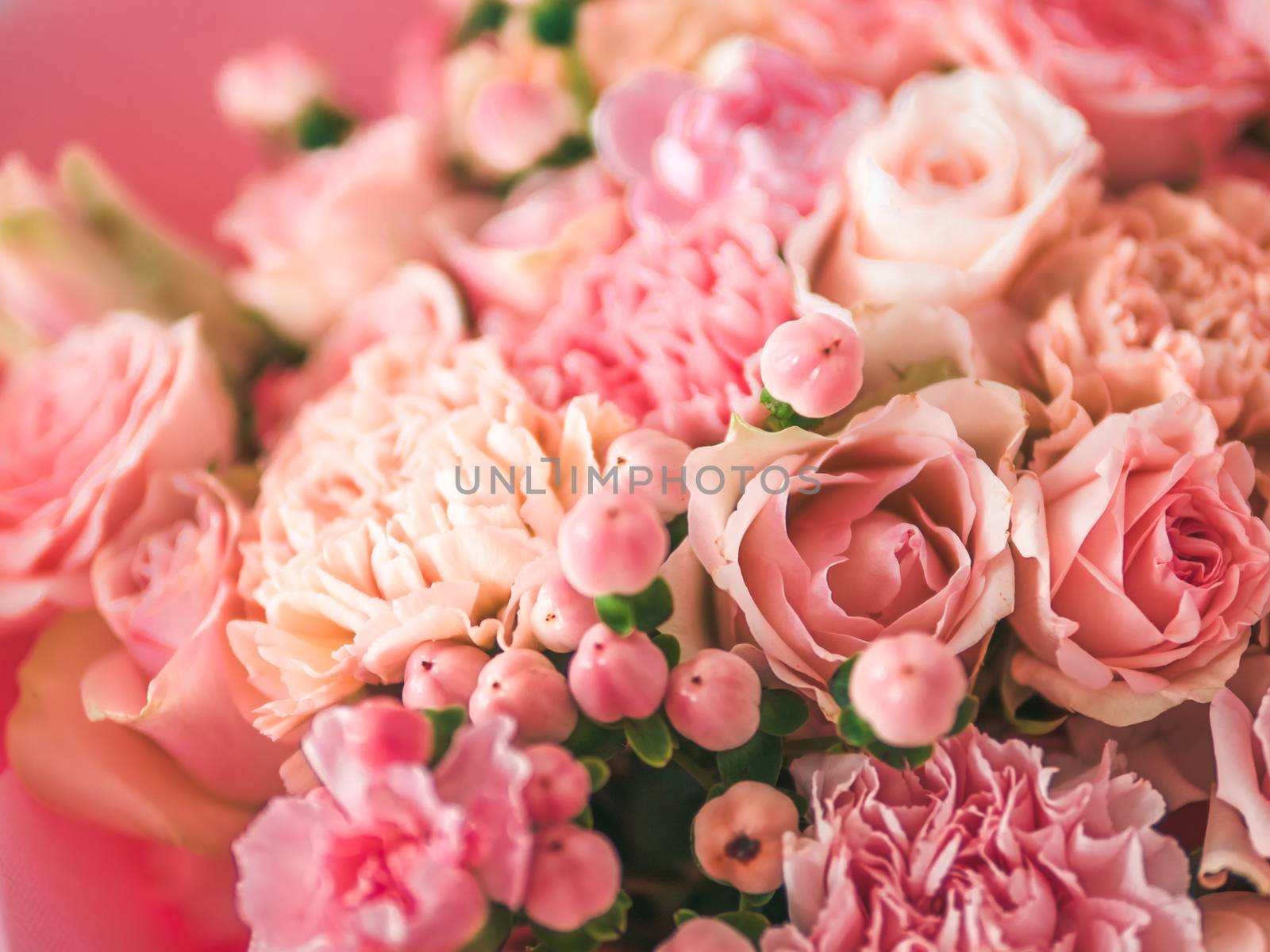 Extreme close up view of nice subtle delicate pink bouquet with roses, dianthus, hypericum, clove. Shallow DOF. Copy space for text.