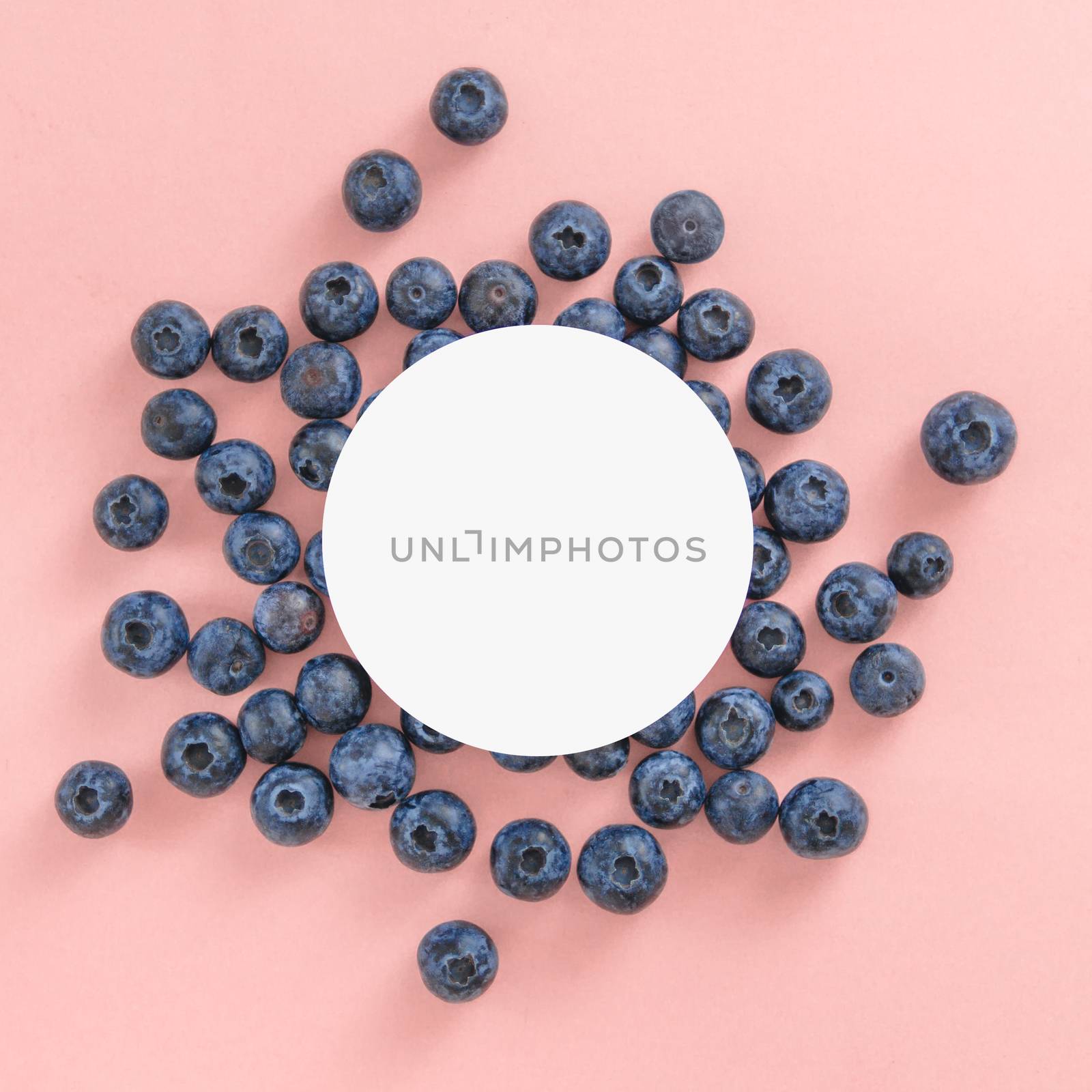Blueberry on pink background with white circle by fascinadora