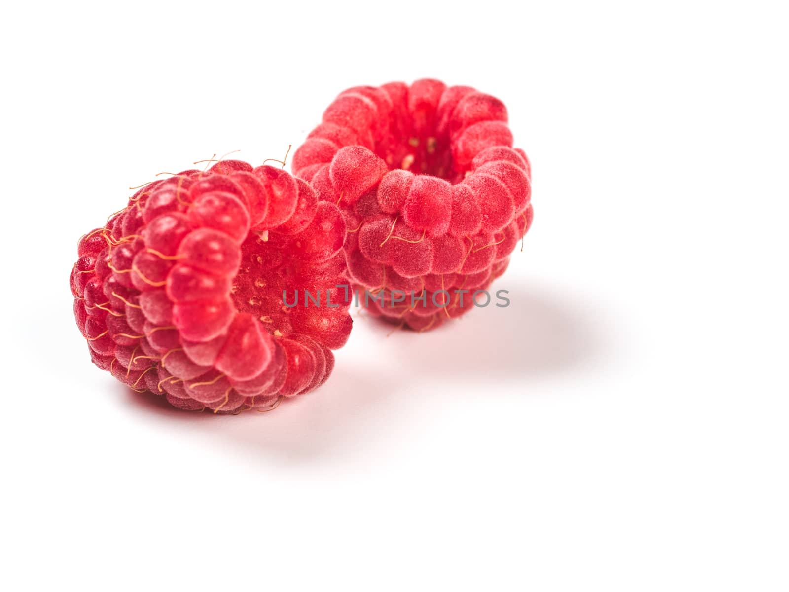 Close up view of two ripe red raspberry berries on white background. Organic raspberries with copy space for text, isolated on white with clipping path. Vegan food concept