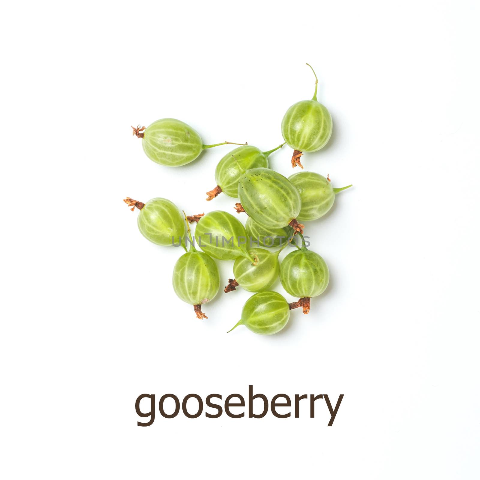 gooseberry isolated, copy space by fascinadora