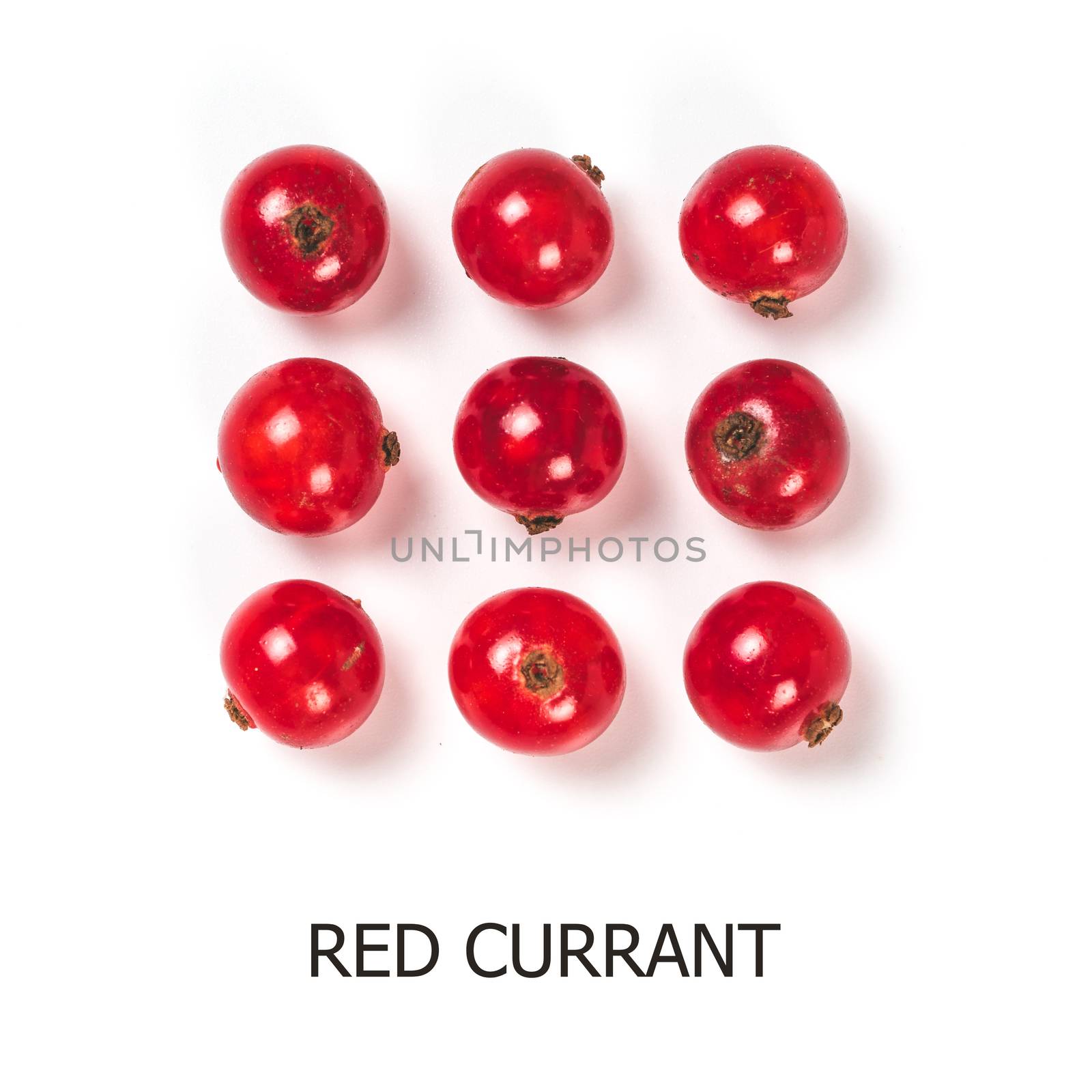 Creative layout - branch of red currant. Food and diet concept. Top view of ripe red currant with copy space. Isolated on white with clipping path.