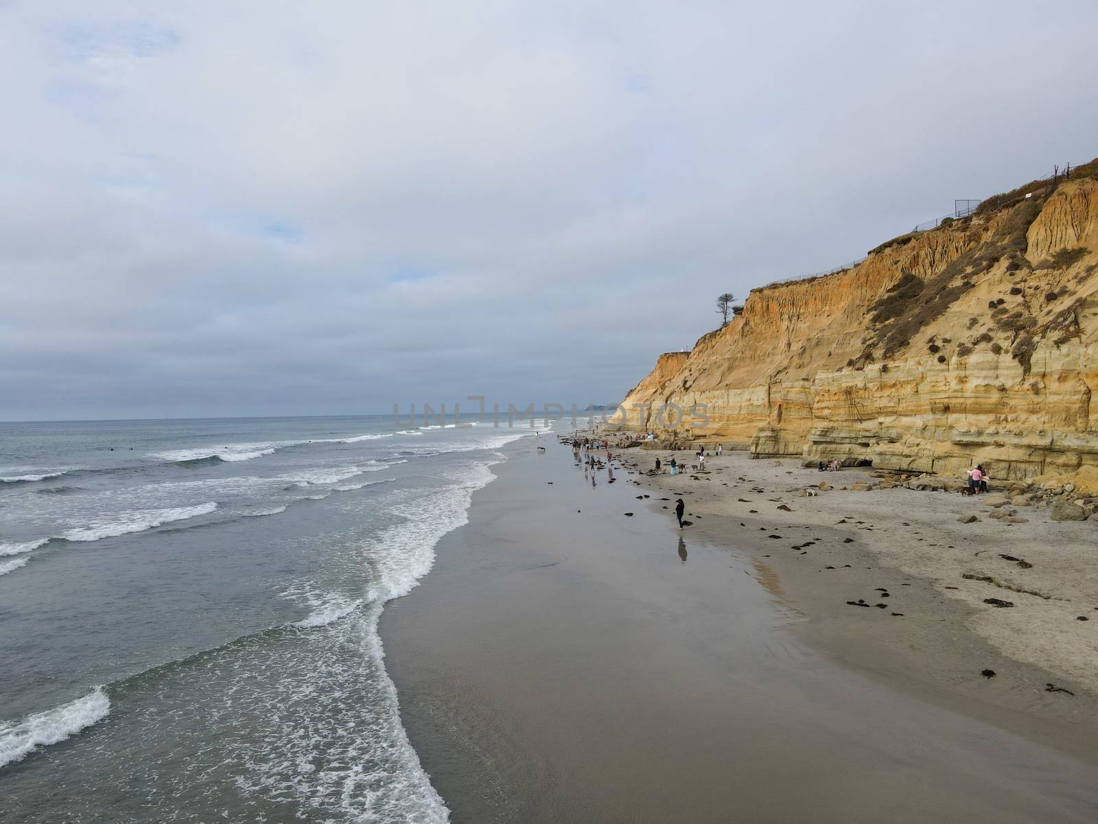 Dog Beach off-leash on Del Mar North Beach, people walking their dogs. San Diego County, California, USA. November 20, 2020