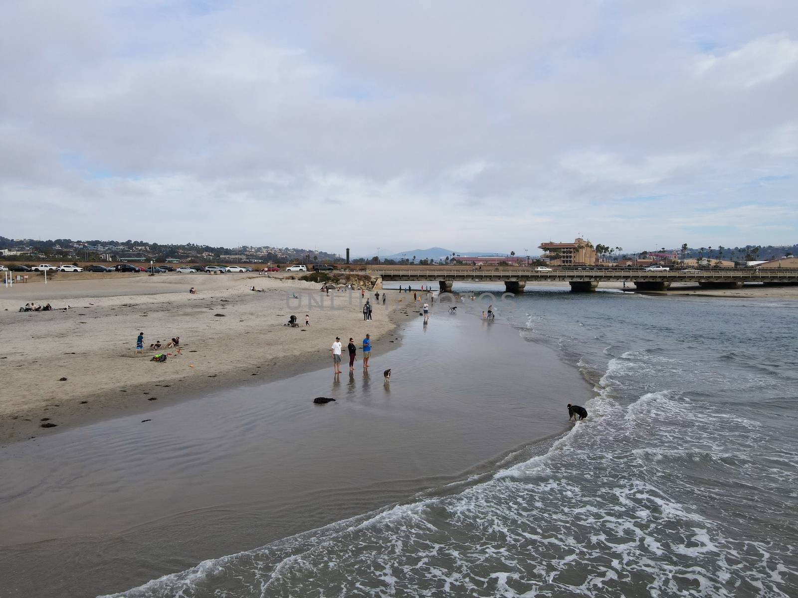 Dog Beach off-leash on Del Mar North Beach, people walking their dogs. San Diego County, California, USA. November 20, 2020