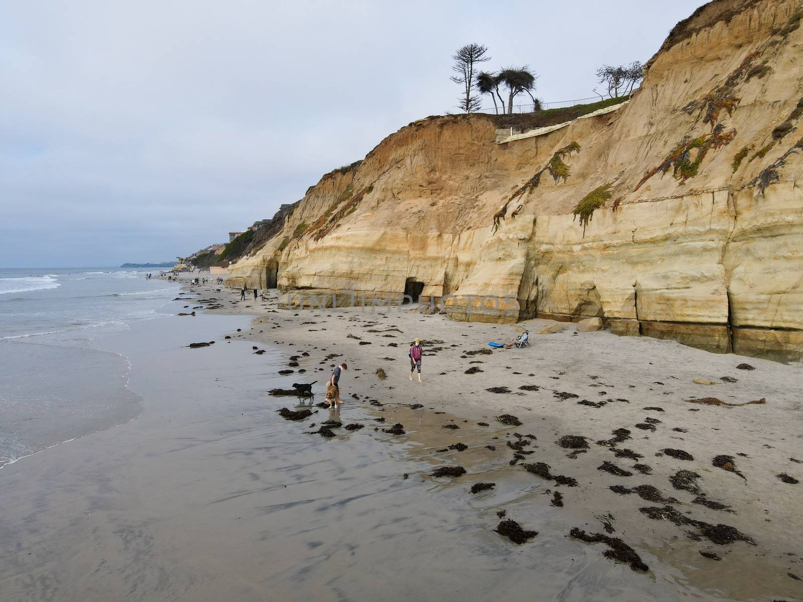 Dog Beach off-leash on Del Mar North Beach, people walking their dogs. San Diego County, California, USA. November 20, 2020