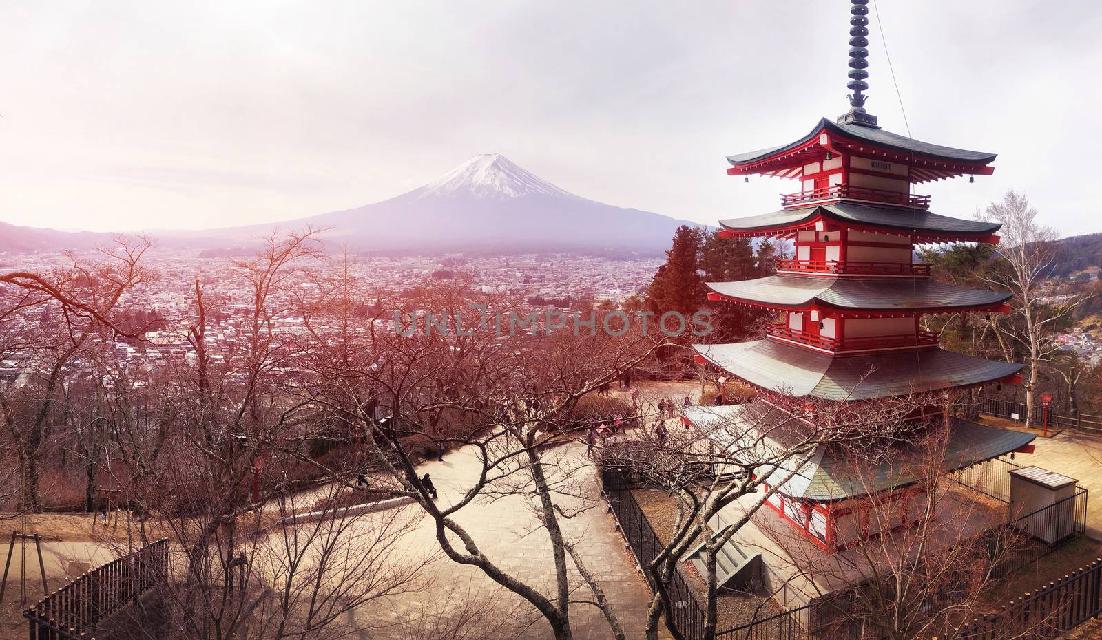 Panoramic view of Red Chureito Pagoda and Snow covered Mount Fuj by Surasak