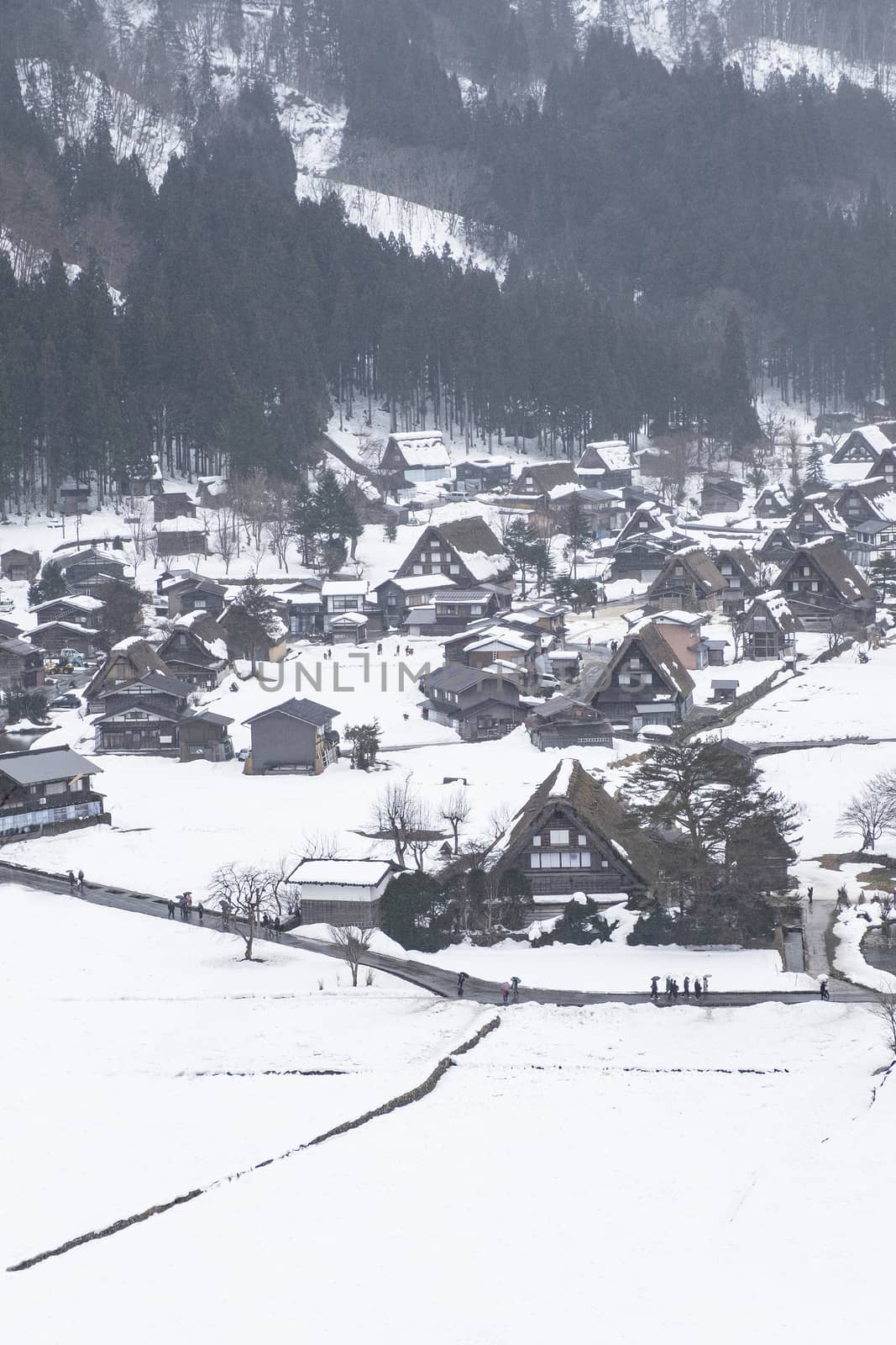 World Heritage Site Shirakawago Village in Winter, Japan by Surasak