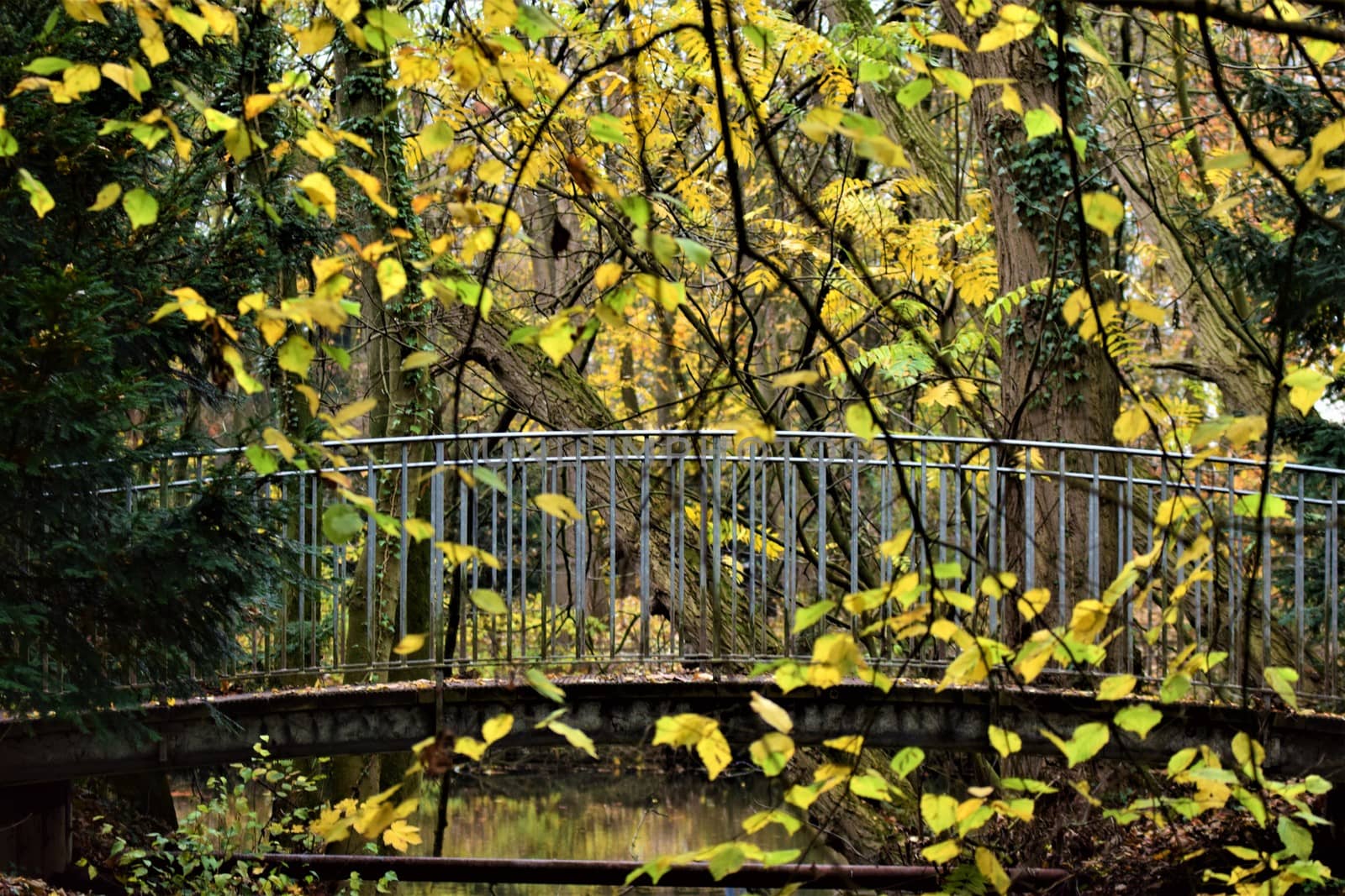 Close up of a small bridge in a park with branches with yellow leaves in the foreground
