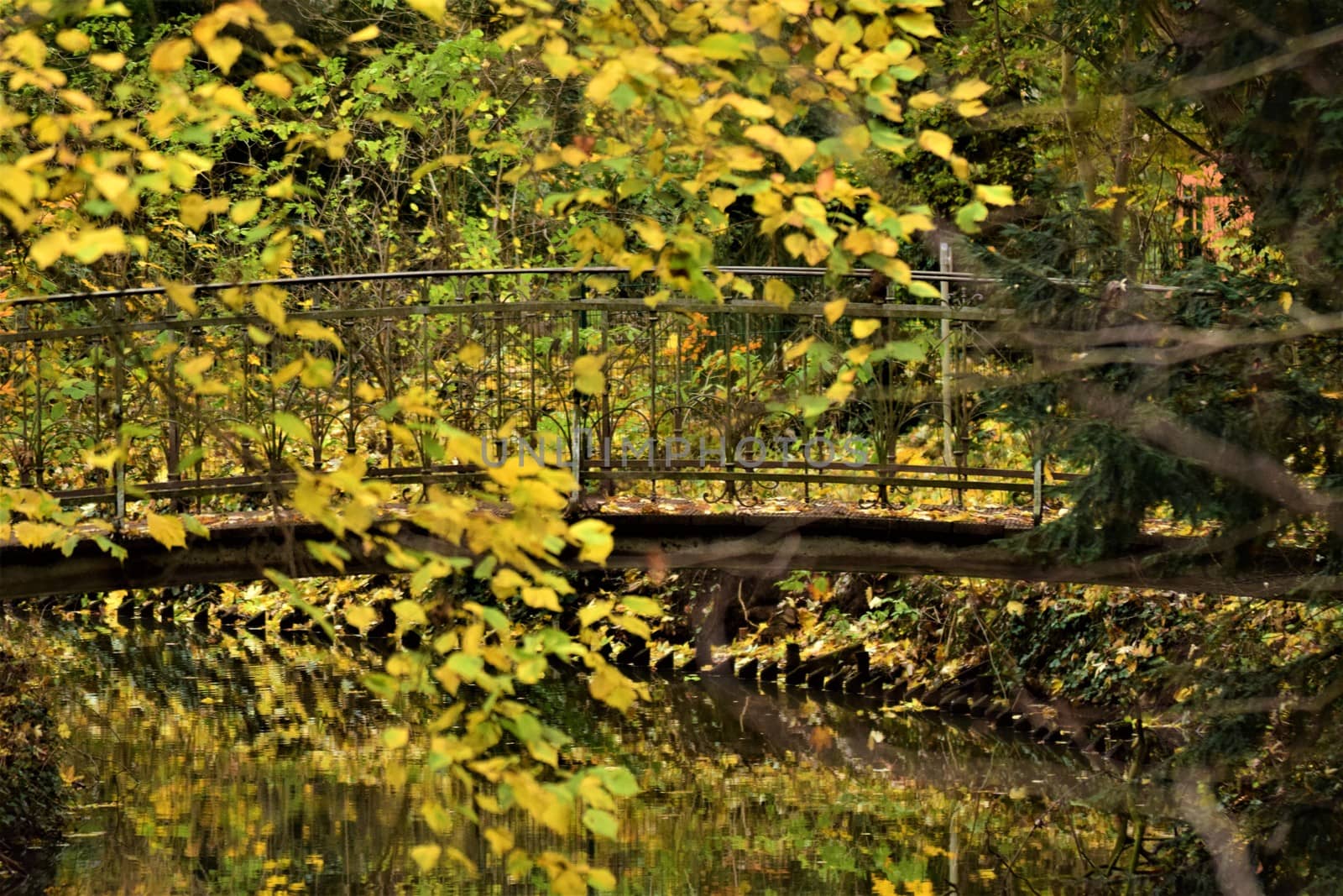 Close up of a small bridge in a park with branches with yellow leaves in the foreground