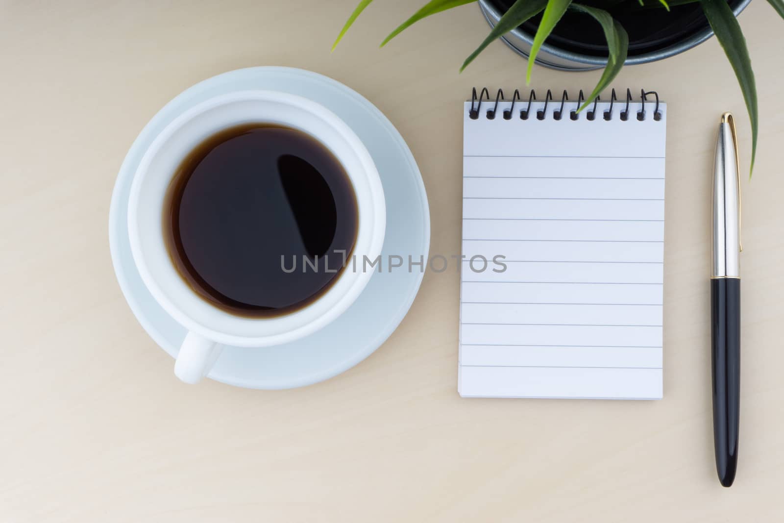 Fountain pen, decorative plant, notepad and cup of coffee on wooden background. Business and copy space concept.
