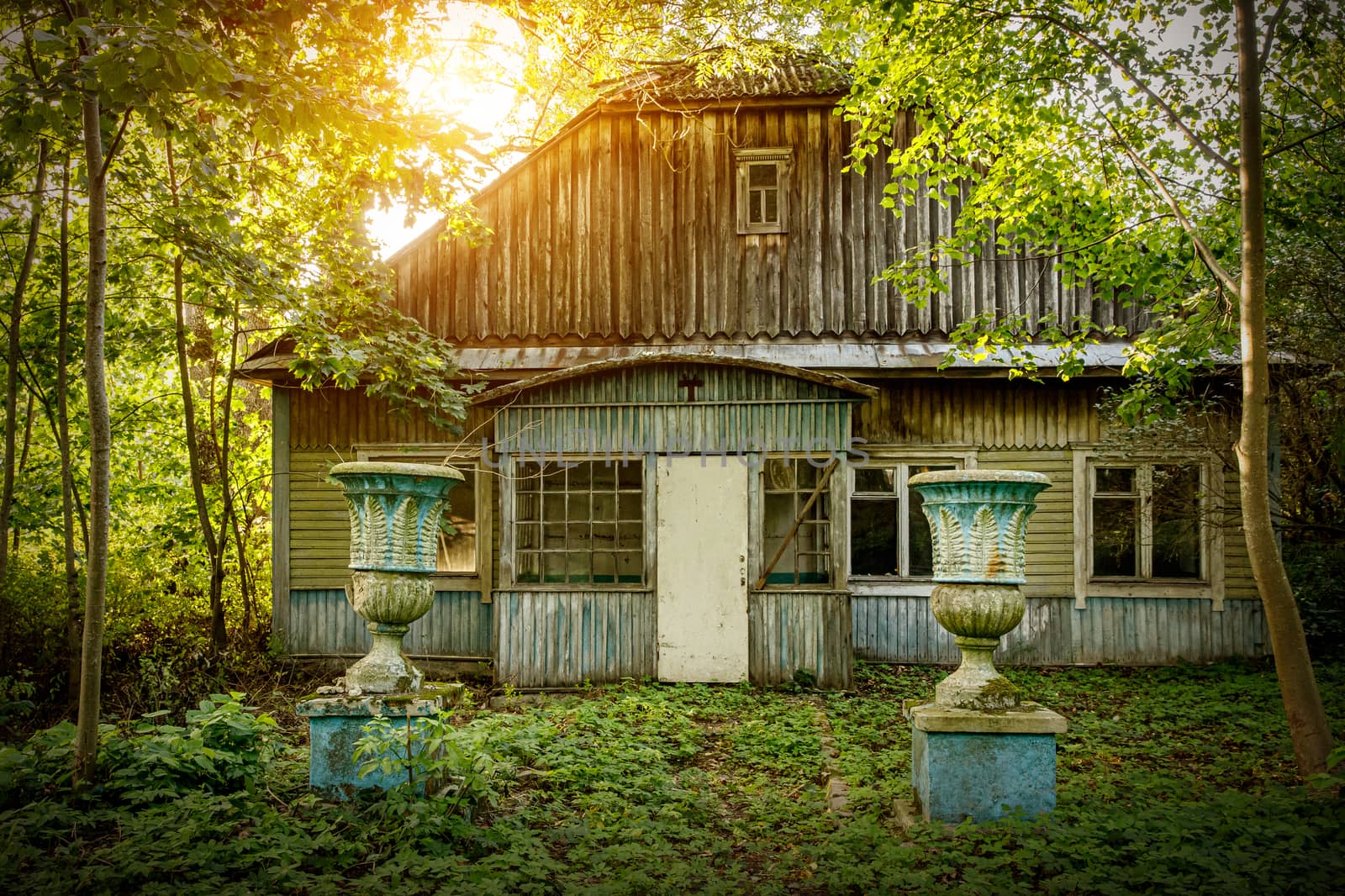 Old wooden abandoned house in the forest