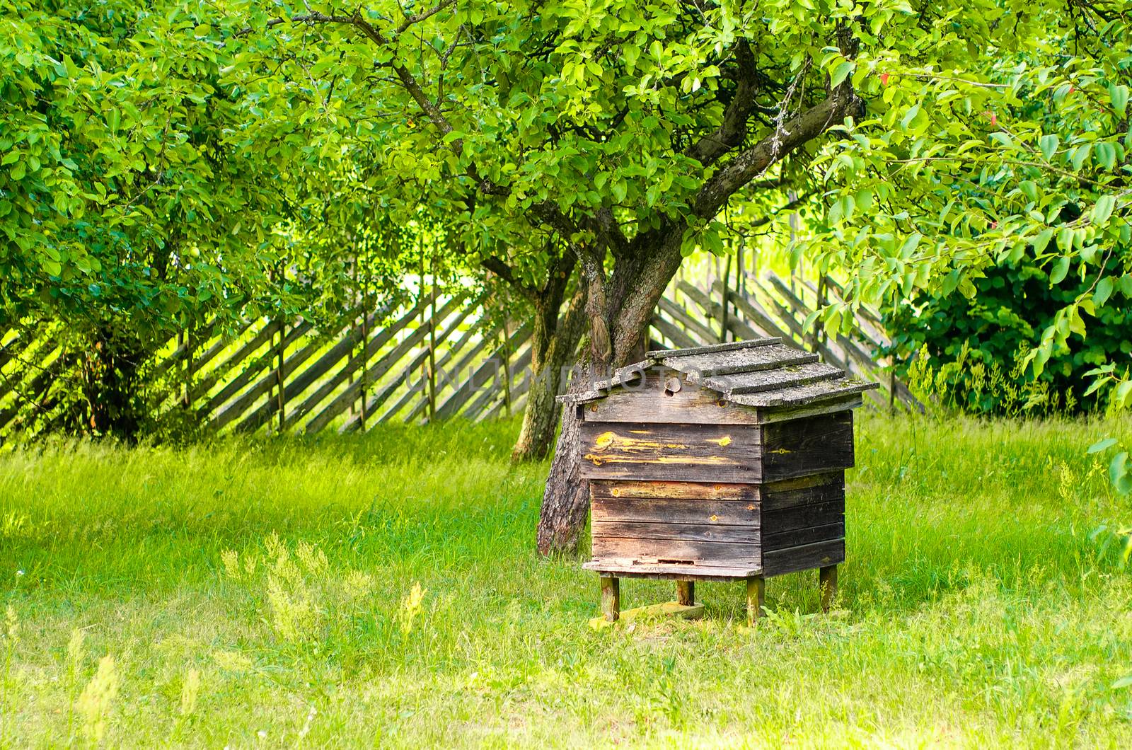 Beehives with bees in a honey farm. Very old, historical beehive in the garden. by KajaNi