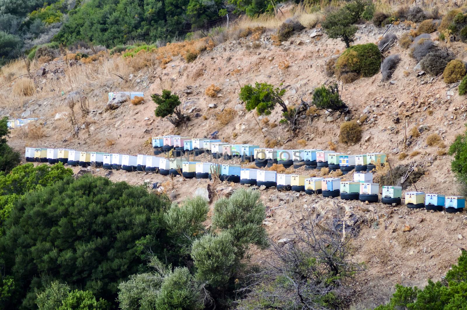 Colorful wooden beehives among olive trees in the mountains of Crete