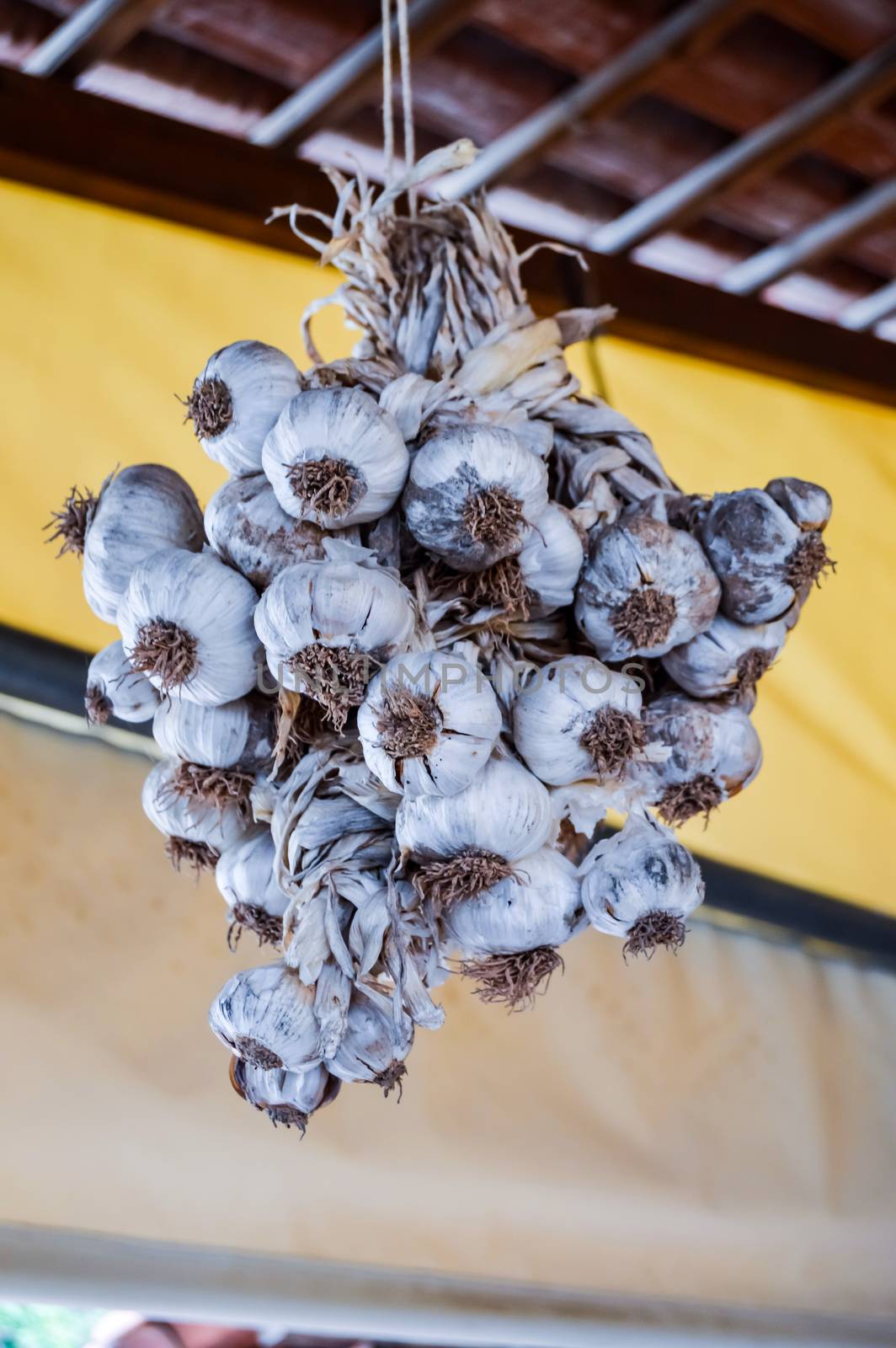 garlic clove braid hanging in the air on the island of Crete