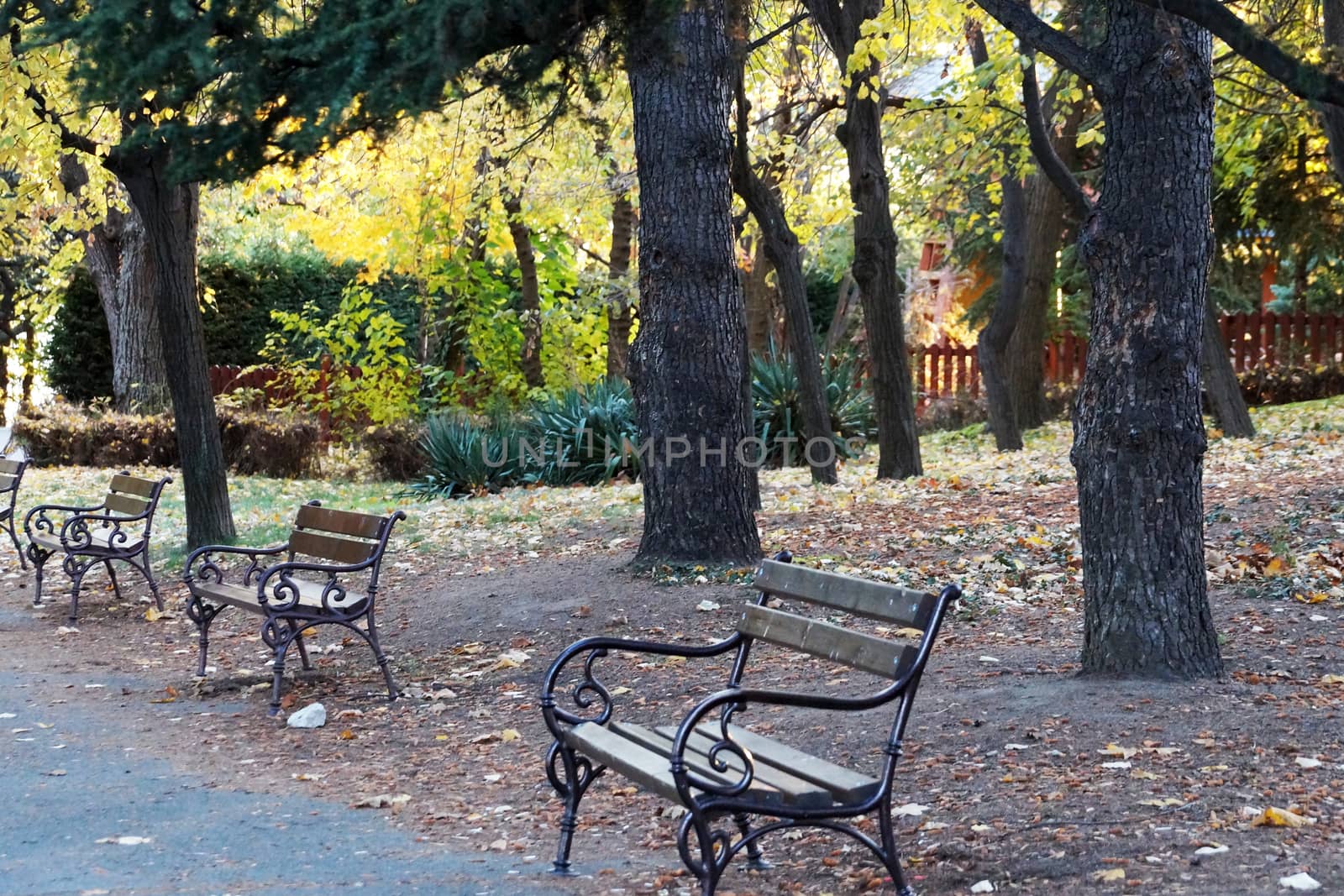 empty benches in autumn park in the evening.