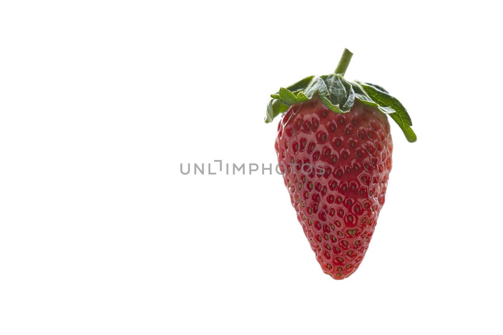 Strawberries against white background by ben44