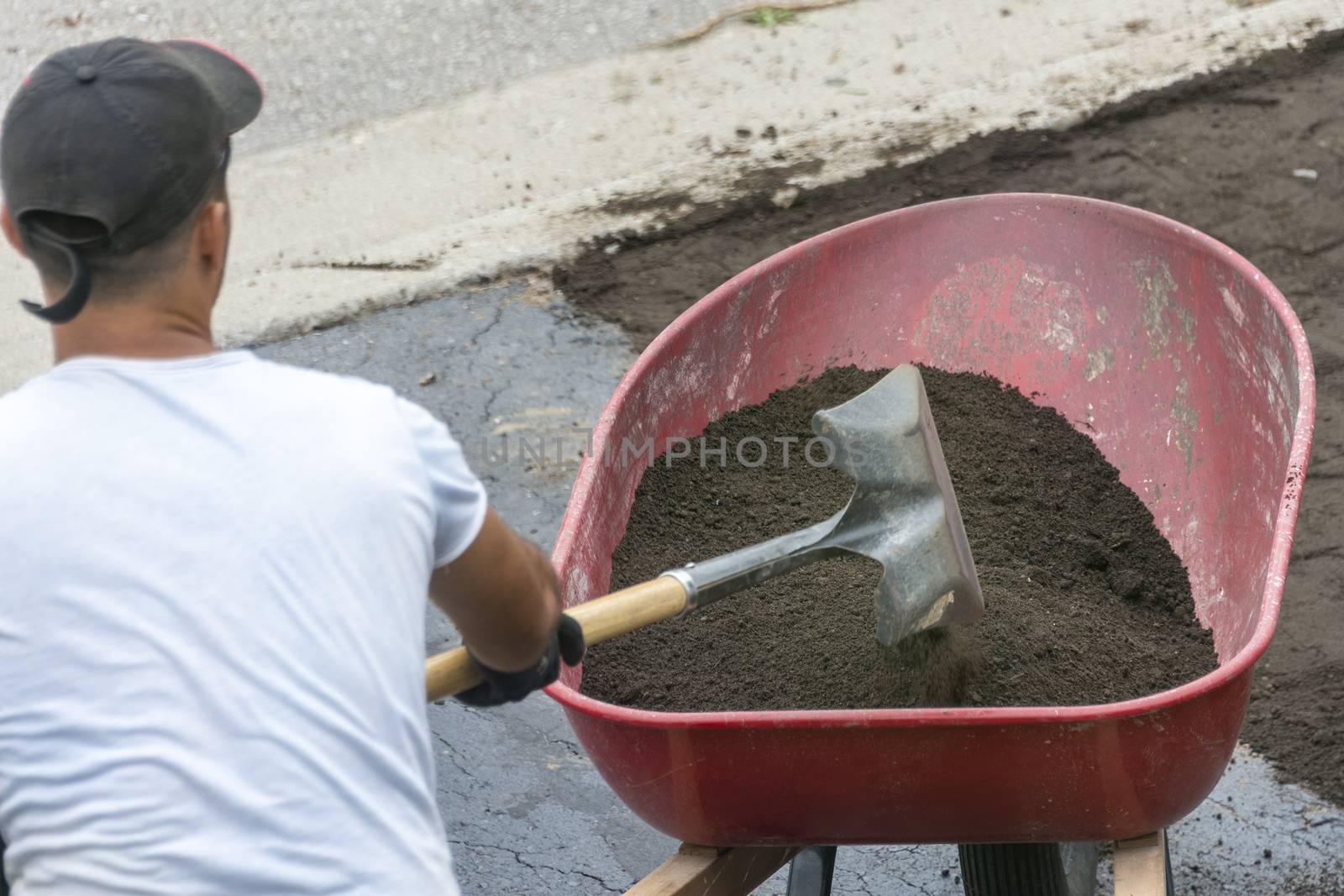 Worker pours soil into the wheelbarrow by ben44