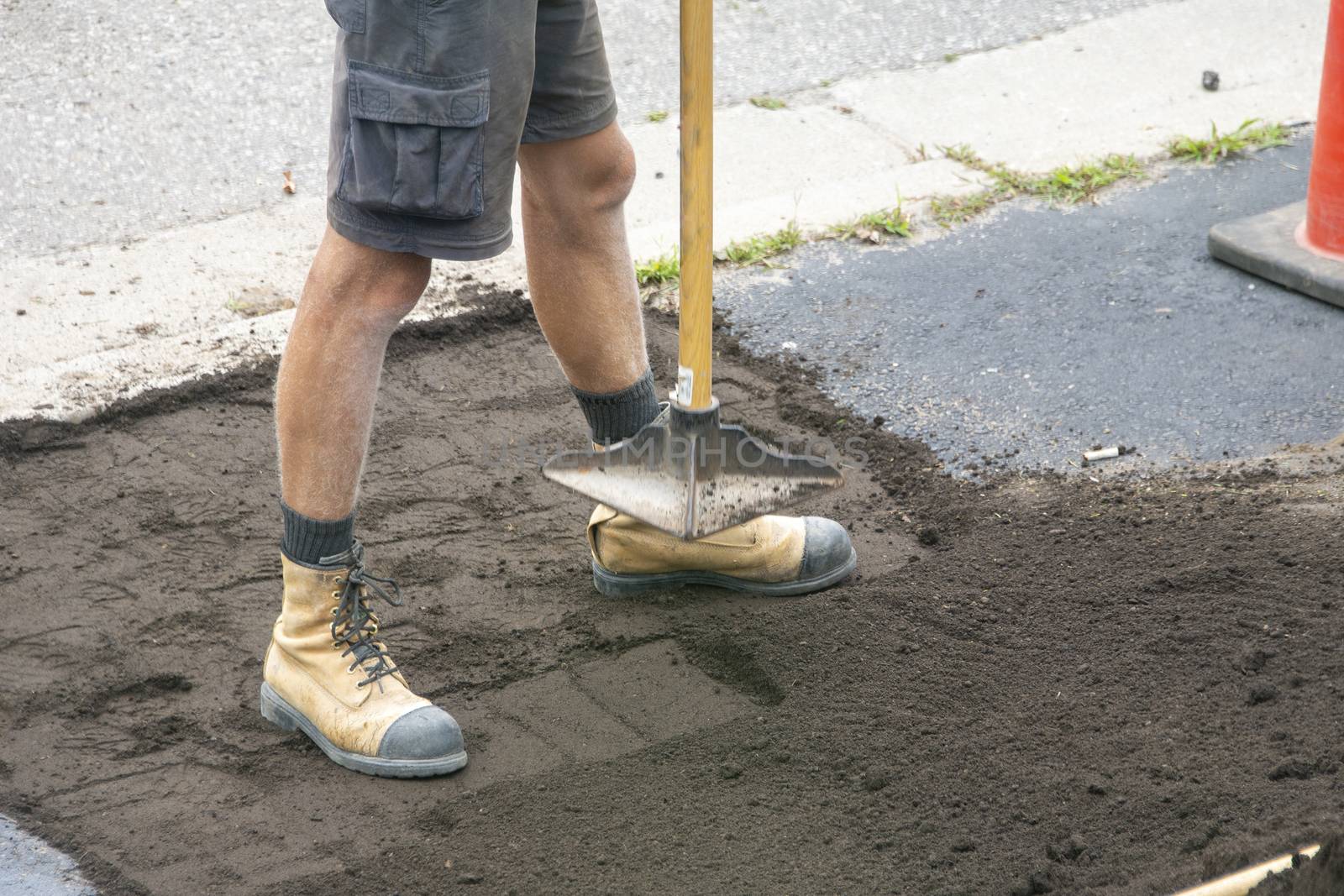 Preparing an area with filled, moist soil and compaction of the soil for planting new grass