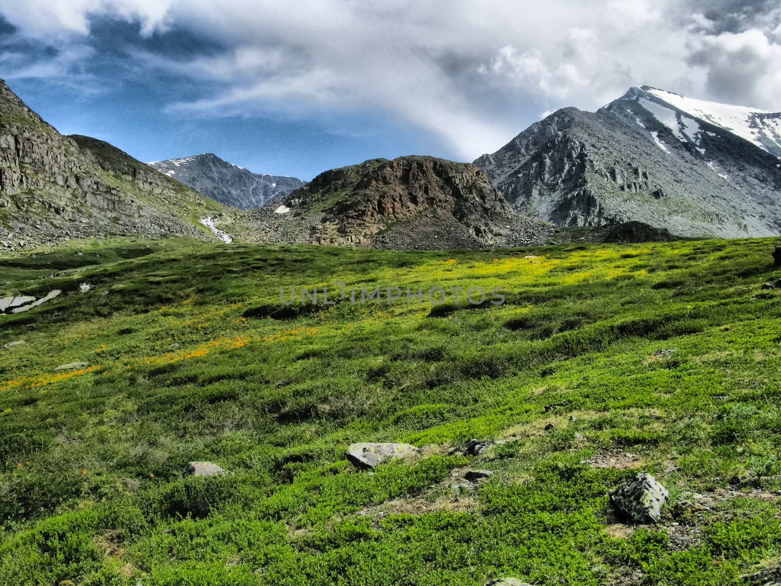 Altai Mountains, beautiful landscape of high altai mountains.