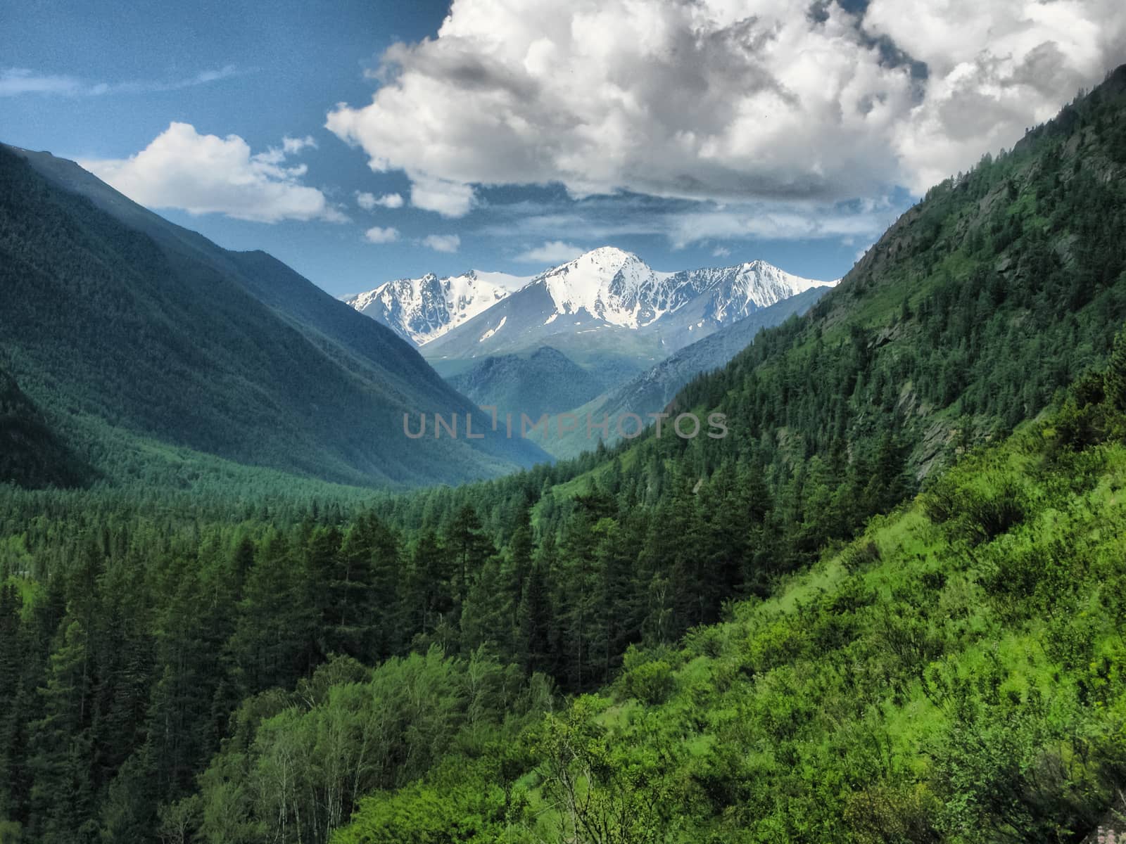 Nature is altai. Mountain landscape, forests and reservoirs of the altai.
