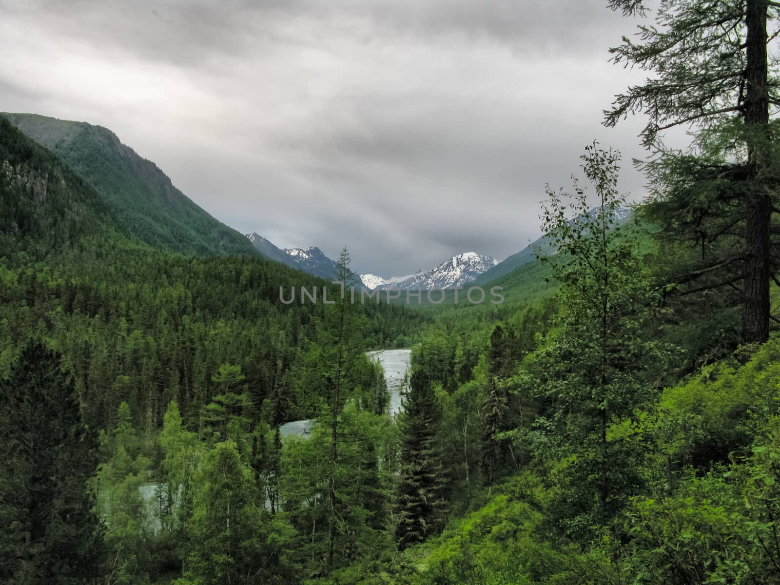 Nature is altai. Mountain landscape, forests and reservoirs of the altai.